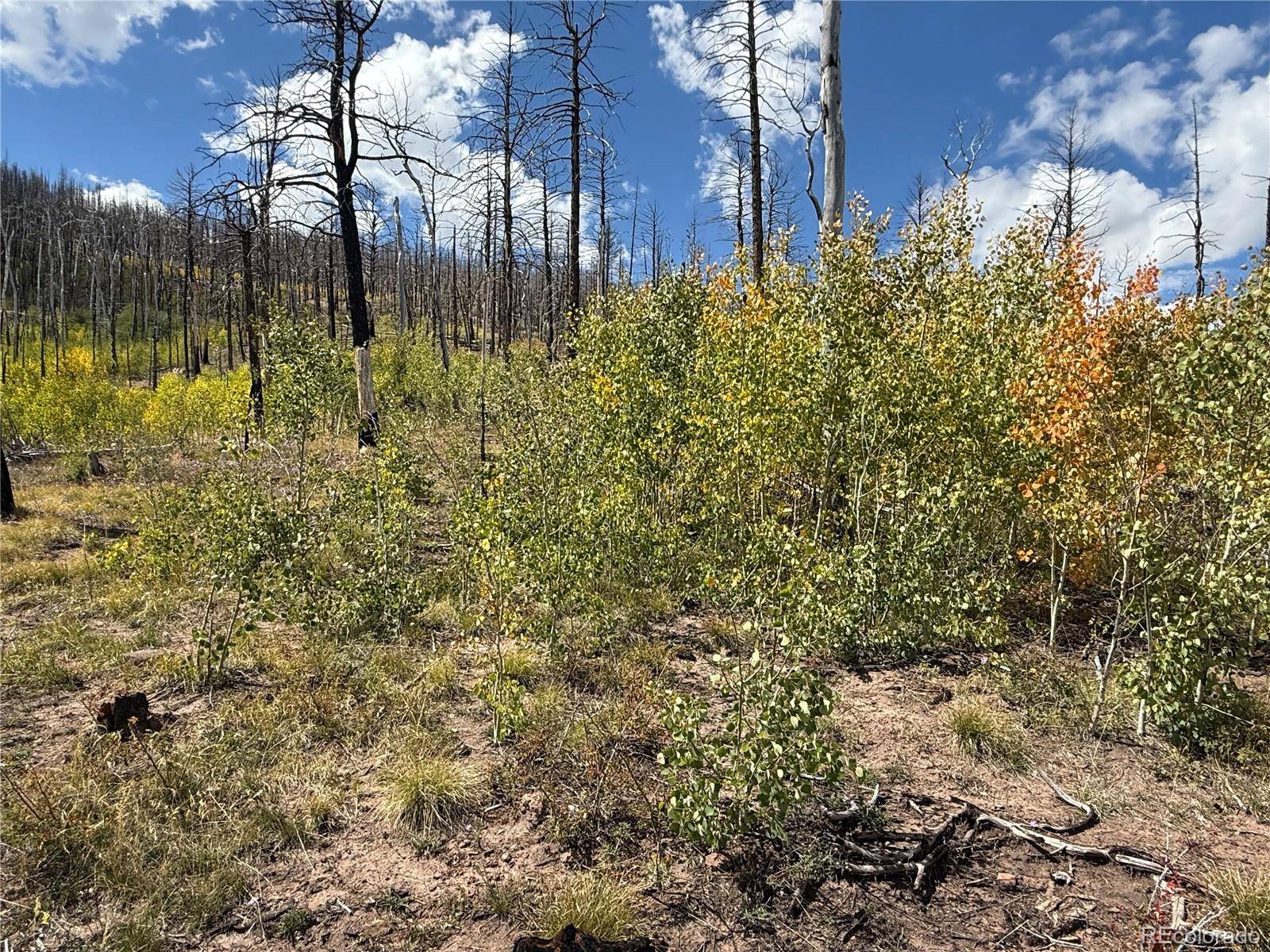 Fort Garland, CO 81133,833 Huntington LN