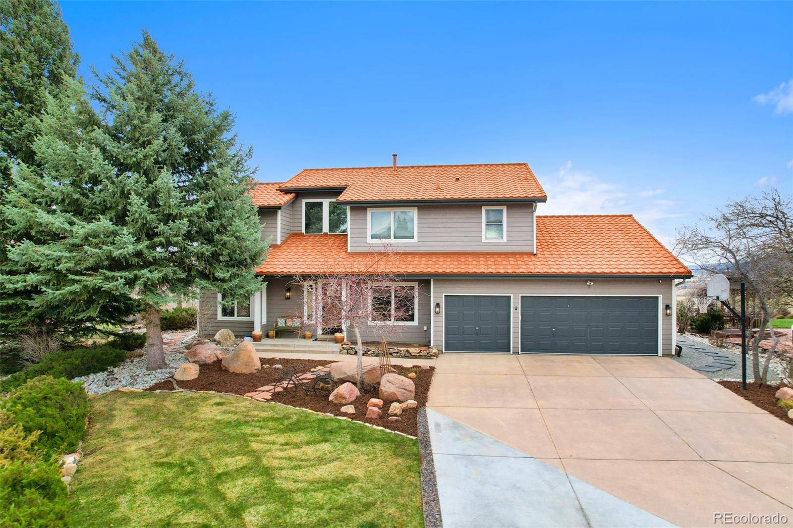 Littleton, CO 80127,1 Red Birch