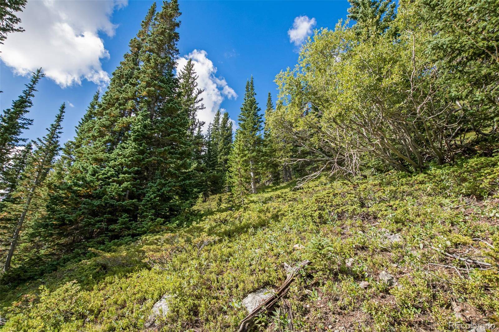 Idaho Springs, CO 80452,Lot 510 Hilltop RD