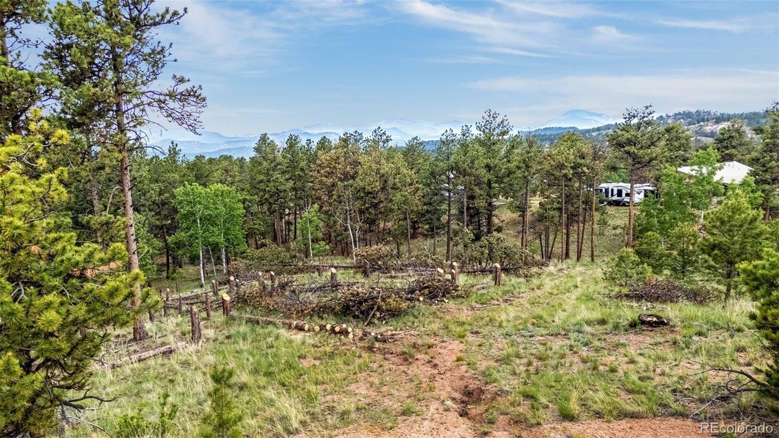 Florissant, CO 80816,77 Monarch DR