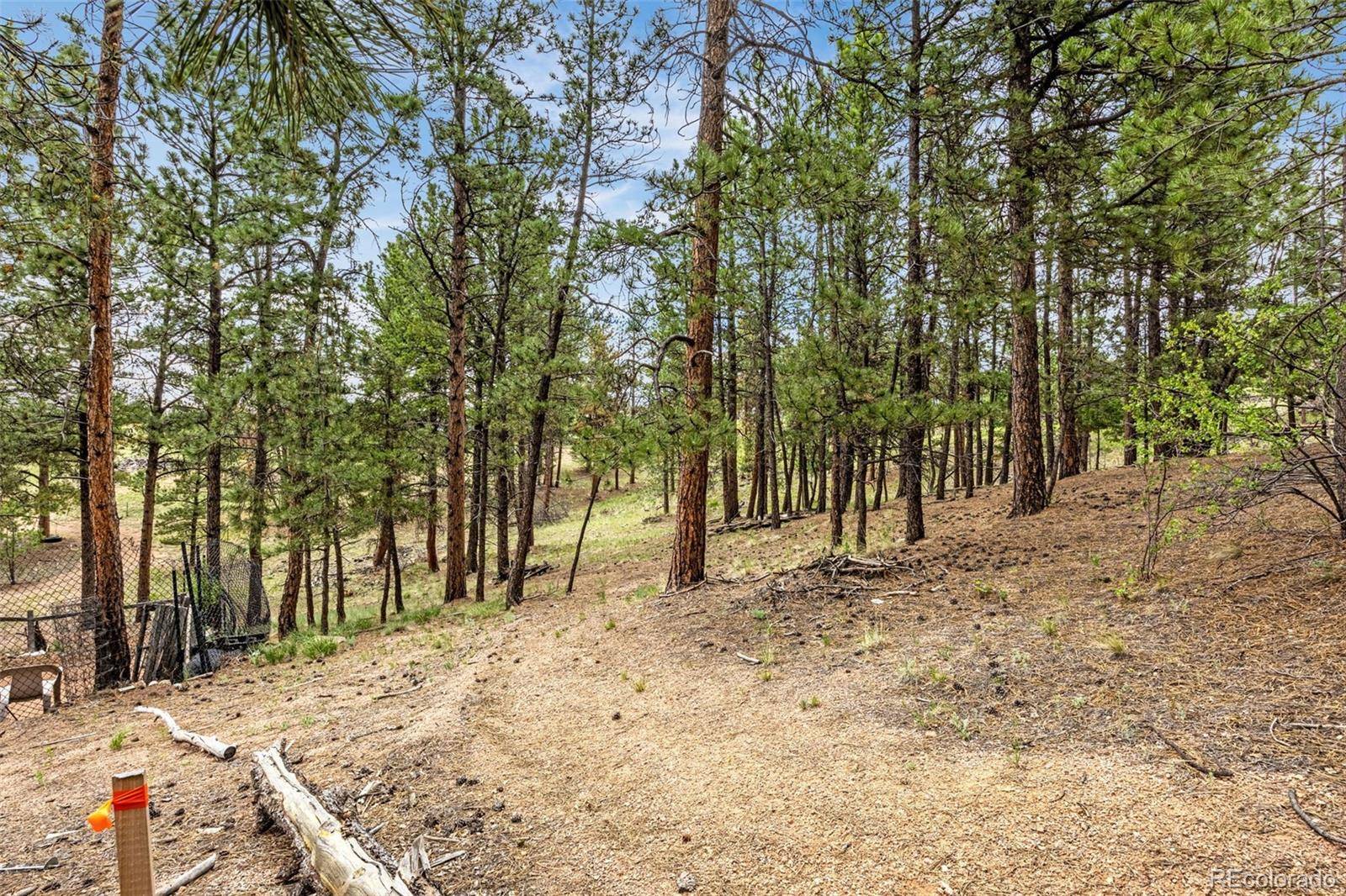 Florissant, CO 80816,77 Monarch DR
