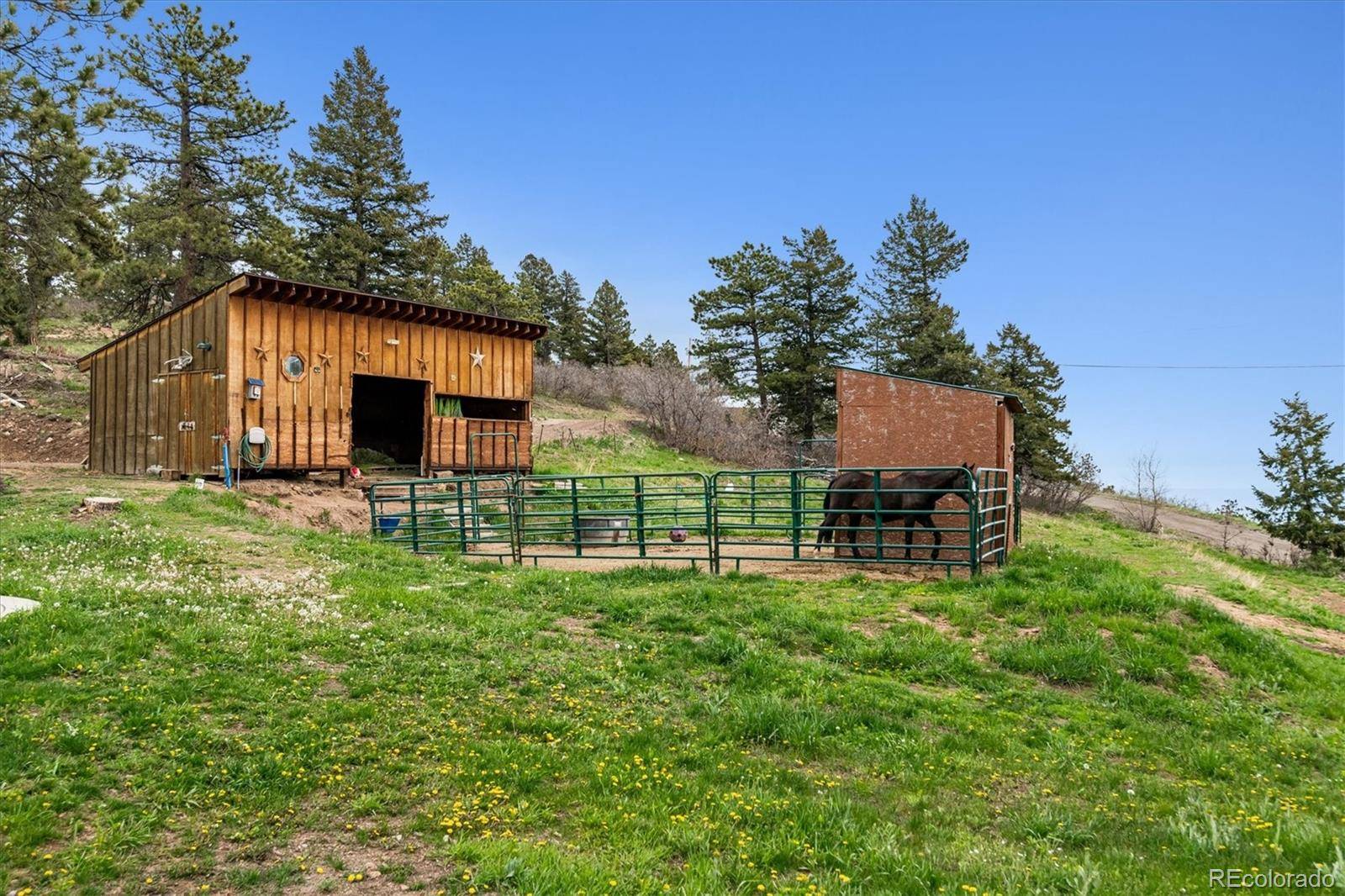 Littleton, CO 80127,16861 Wrangler TRL