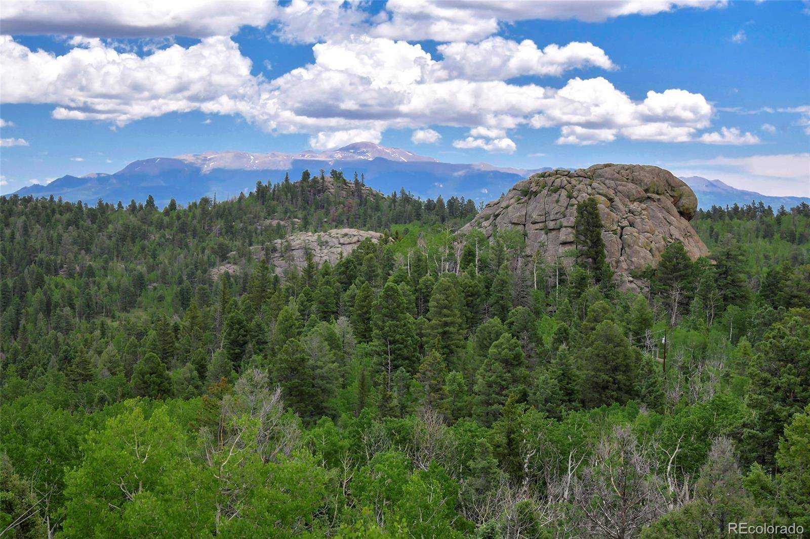 Florissant, CO 80816,290 Eagle Rock RD
