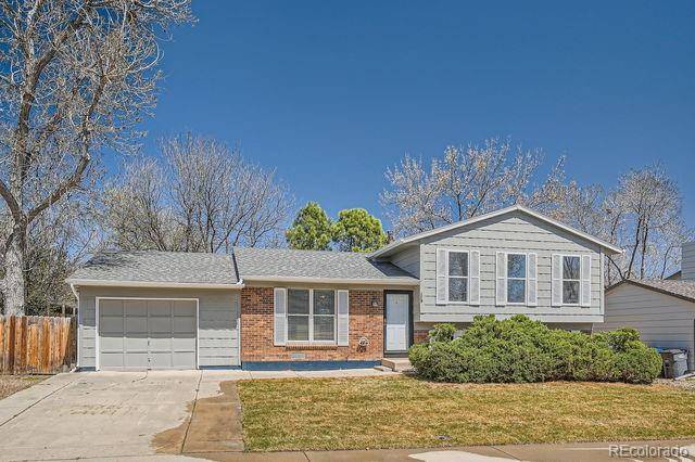 Lafayette, CO 80026,907 Stein ST