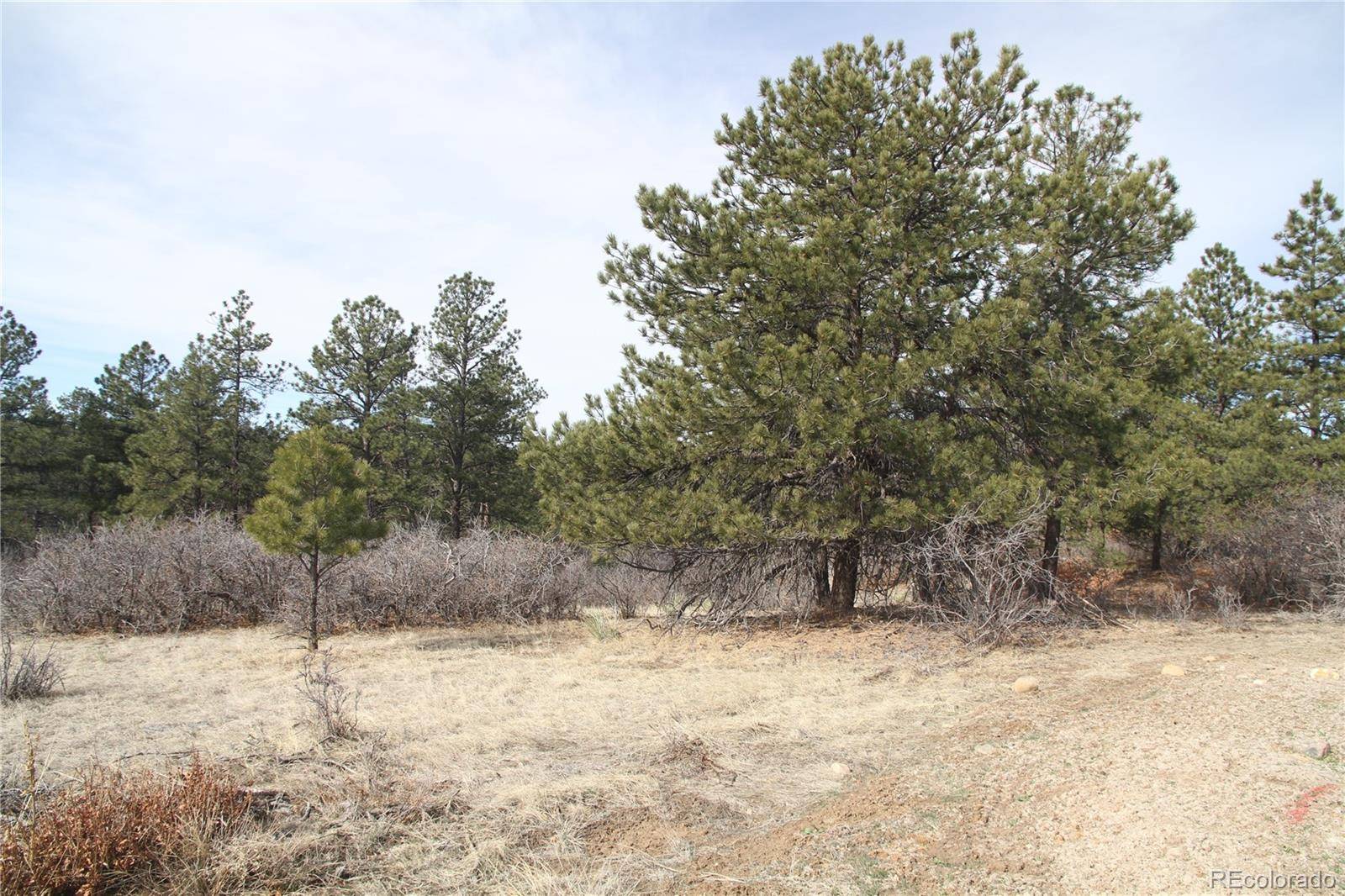 Franktown, CO 80116,11004 Sunset Oaks PL