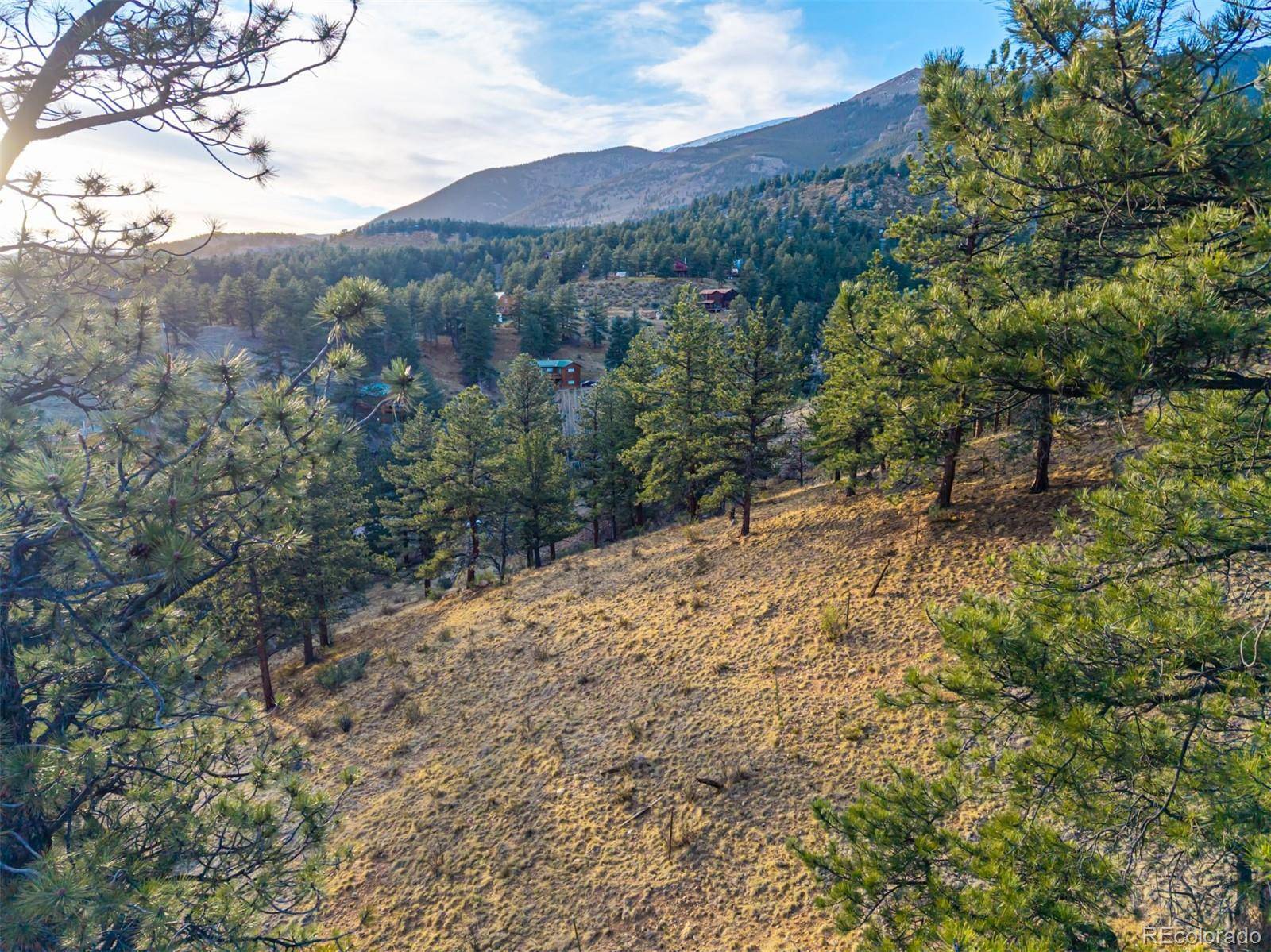 Shawnee, CO 80475,156 E Cline DR