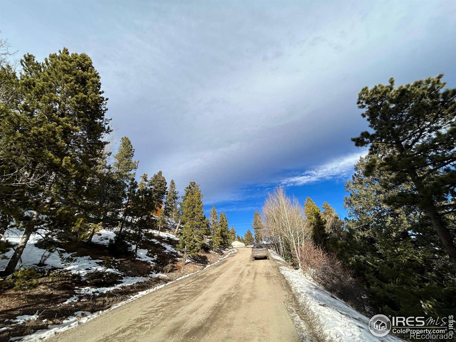 Evergreen, CO 80439,937 Lodgepole DR