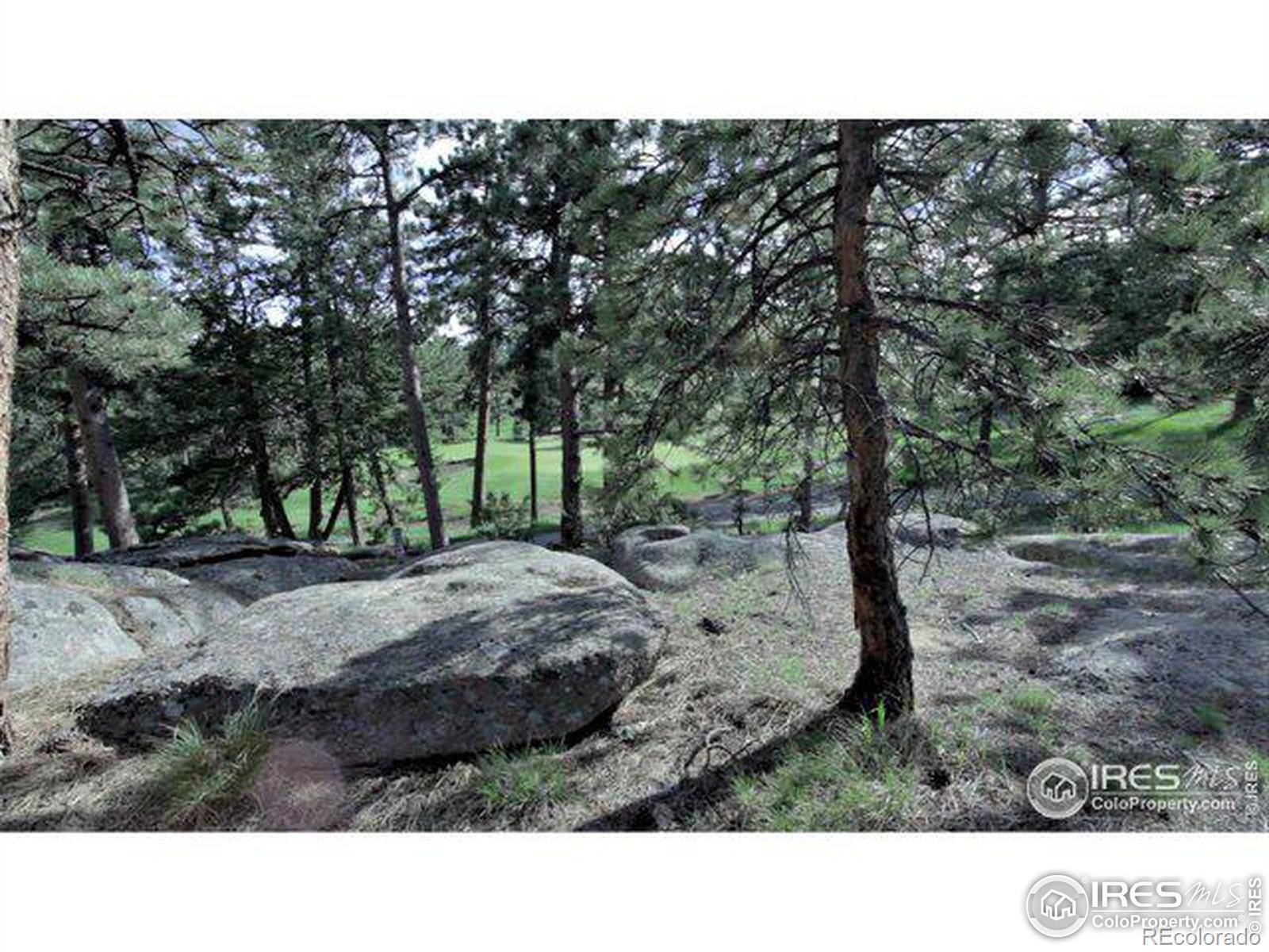 Red Feather Lakes, CO 80545,530 Fox Acres DR