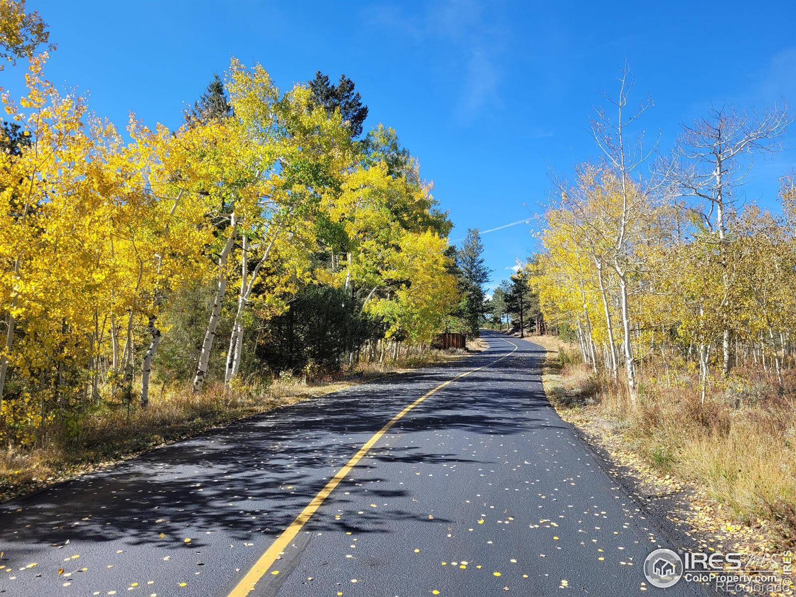 Red Feather Lakes, CO 80545,615 Fox Acres