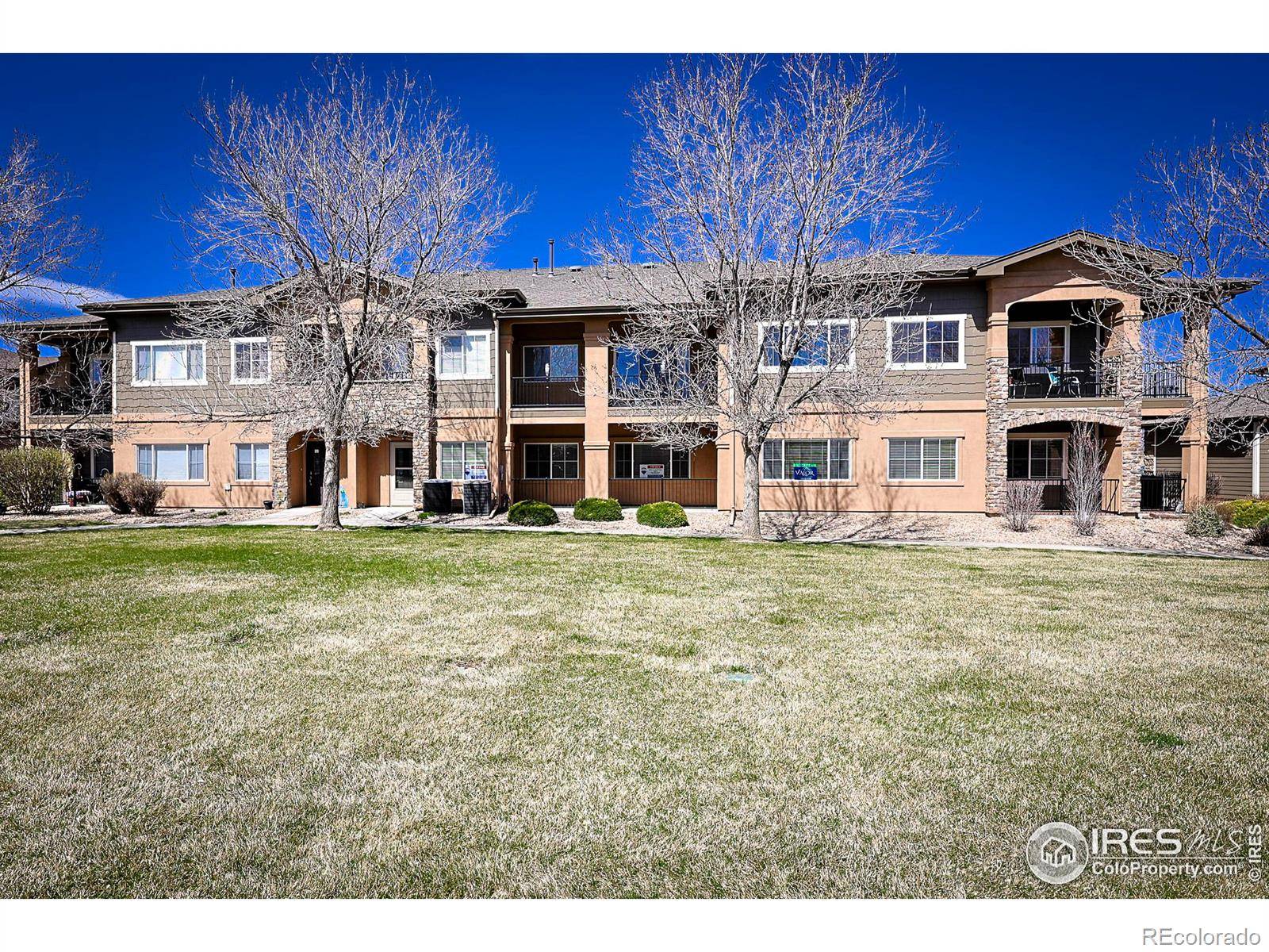 Longmont, CO 80504,1138 Olympia AVE #E