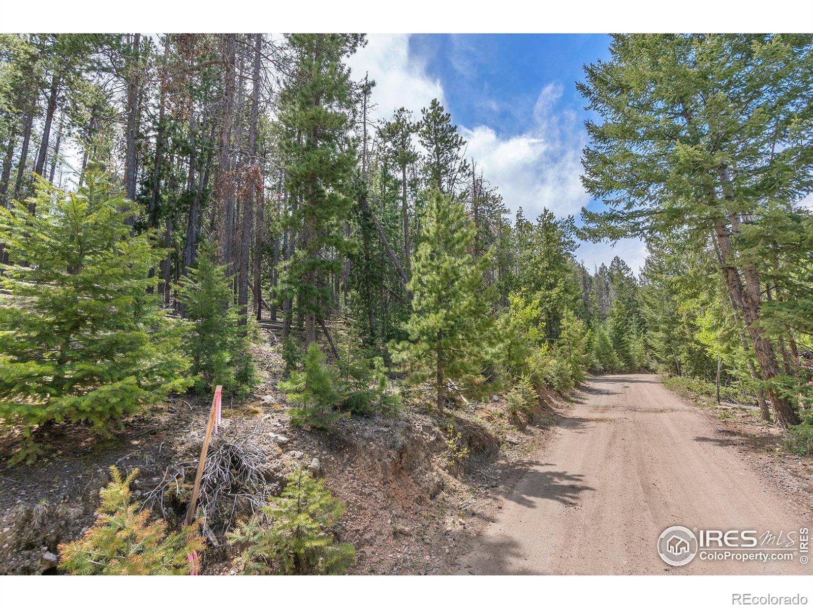 Evergreen, CO 80439,0 Lost Cabin TRL