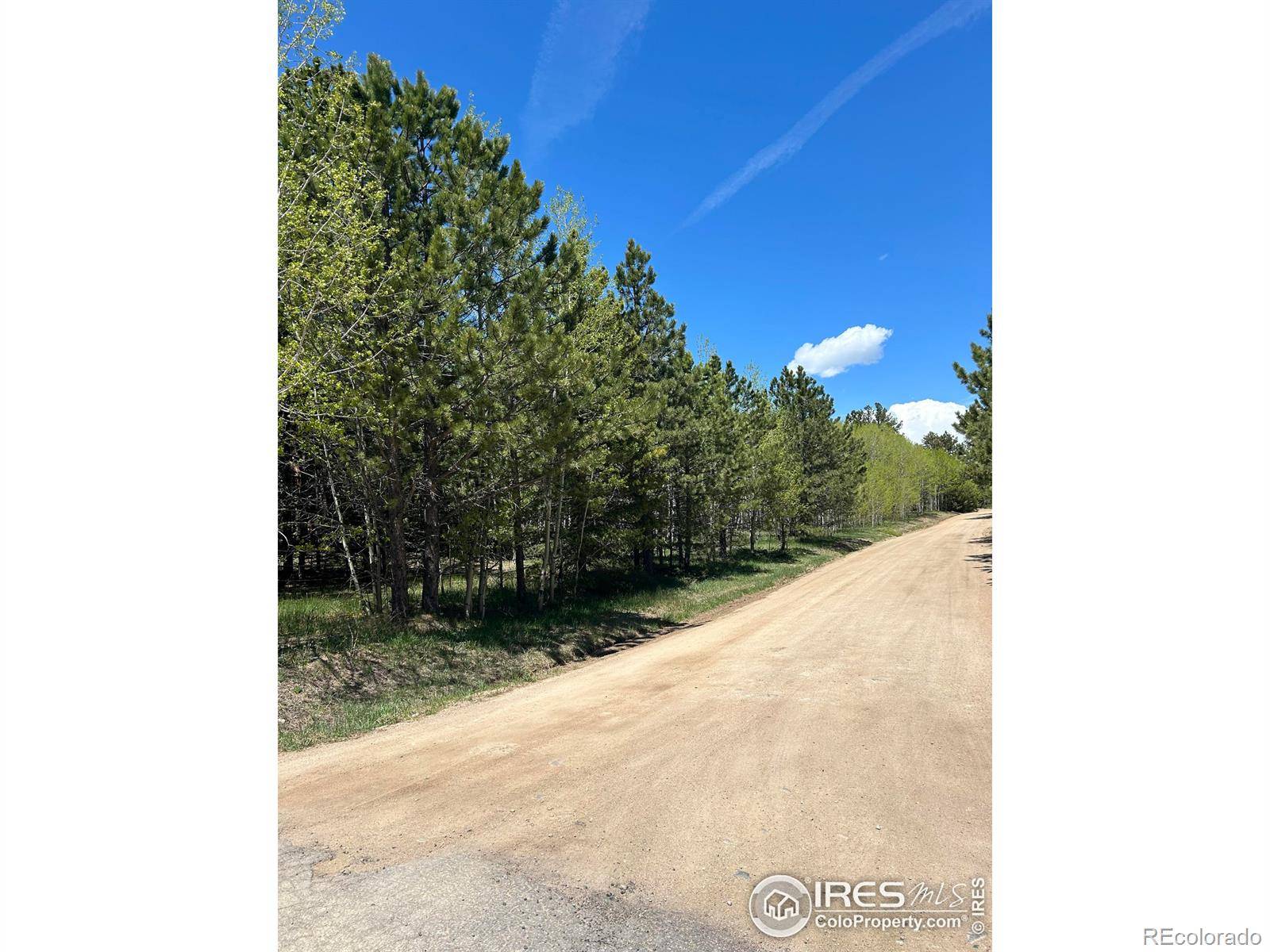 Ward, CO 80481,75 Overland DR