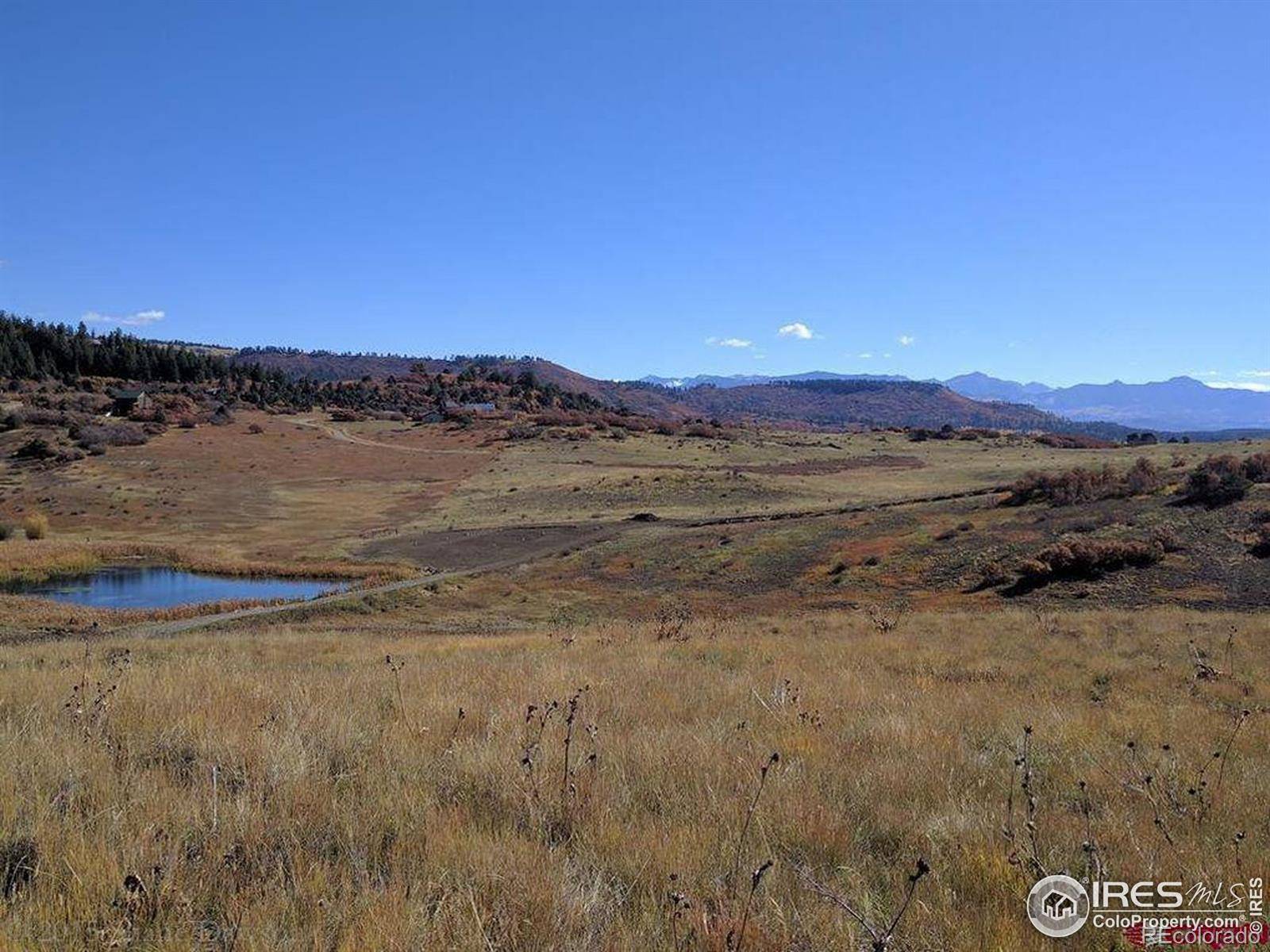 Pagosa Springs, CO 81147,919 Roush DR