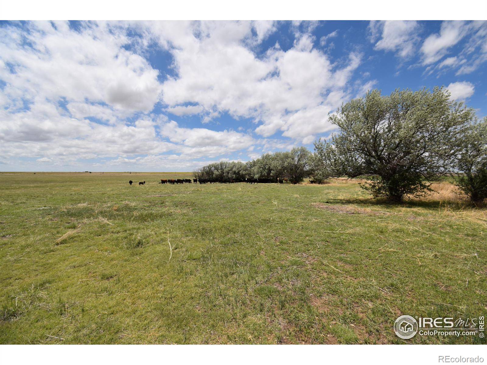 Woodrow, CO 80757,19944 County Road M