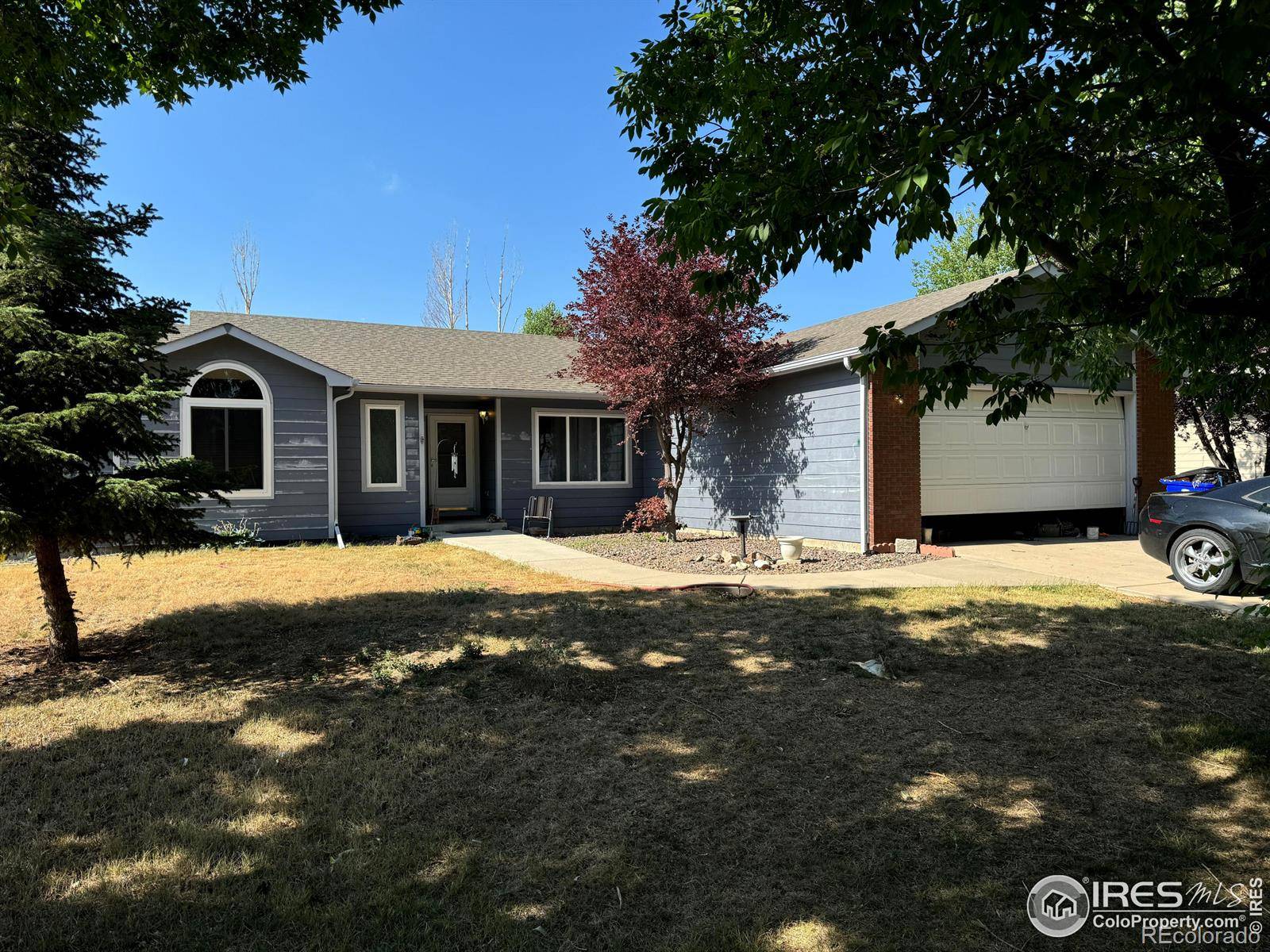 Wellington, CO 80549,3435 Adams CT