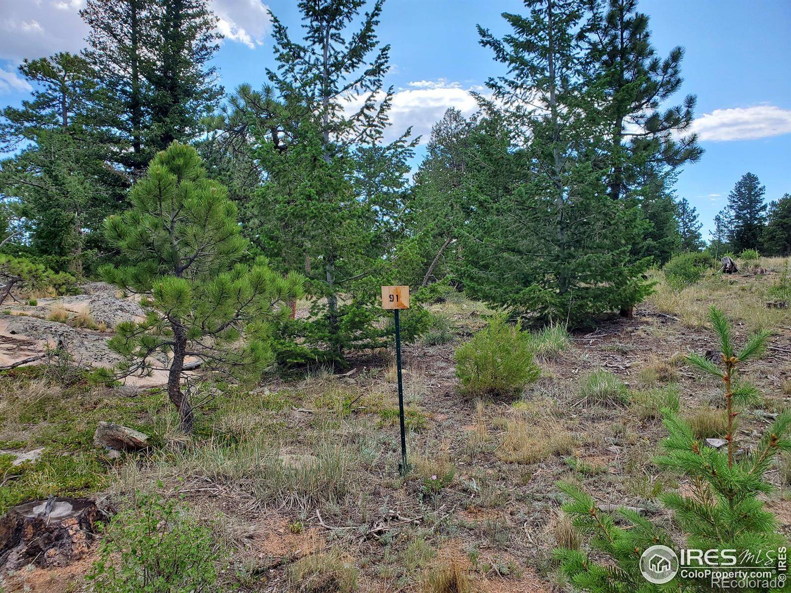 Red Feather Lakes, CO 80545,3021 Lake Arapahoe CT