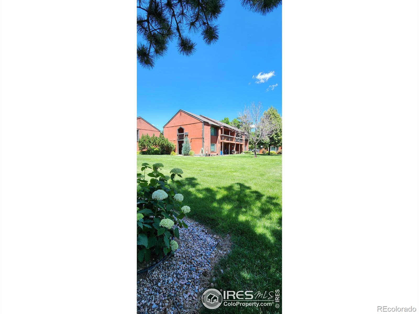 Fort Collins, CO 80521,1625 W Elizabeth ST #3