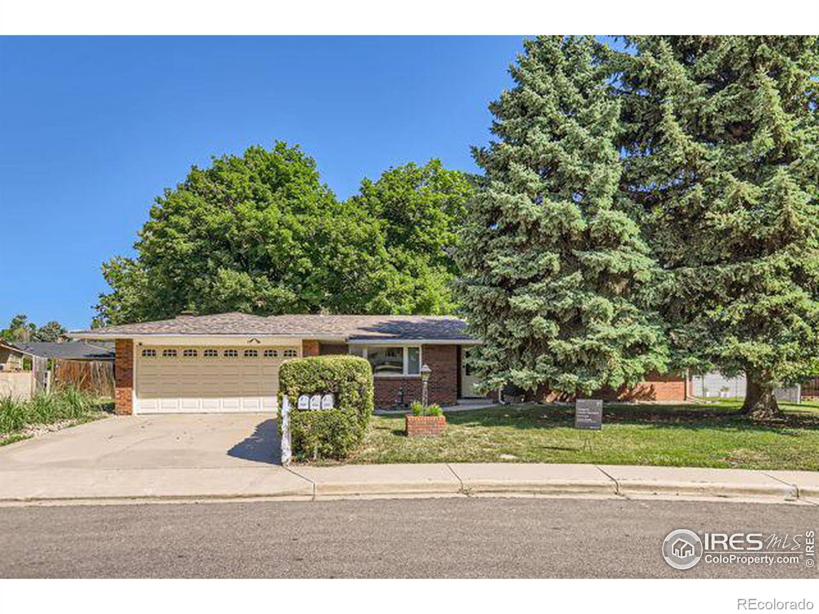 Loveland, CO 80538,2331 Ptelea CT