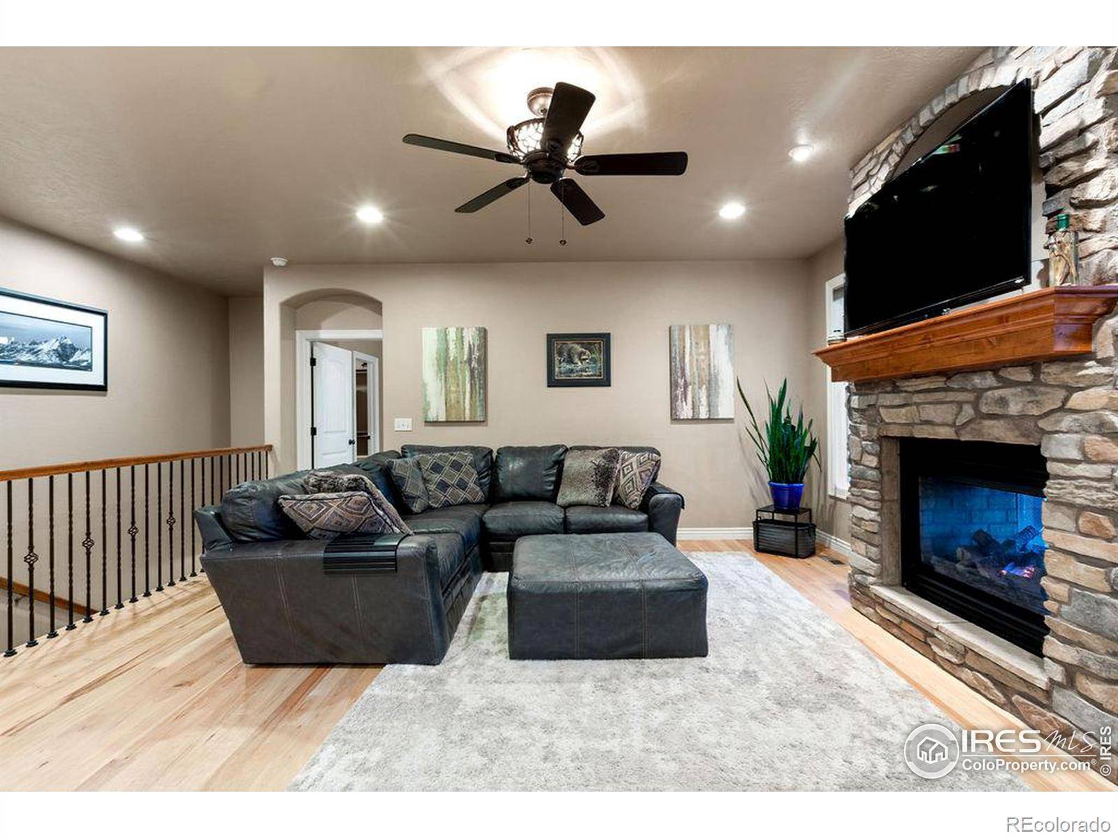 Windsor, CO 80550,313 Telluride DR