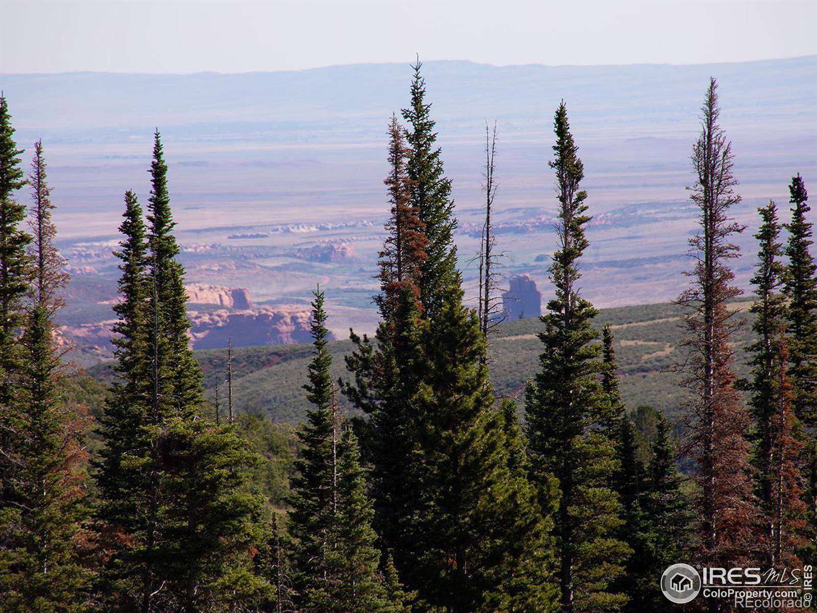 Red Feather Lakes, CO 80545,1189 Mountain Ridge RD