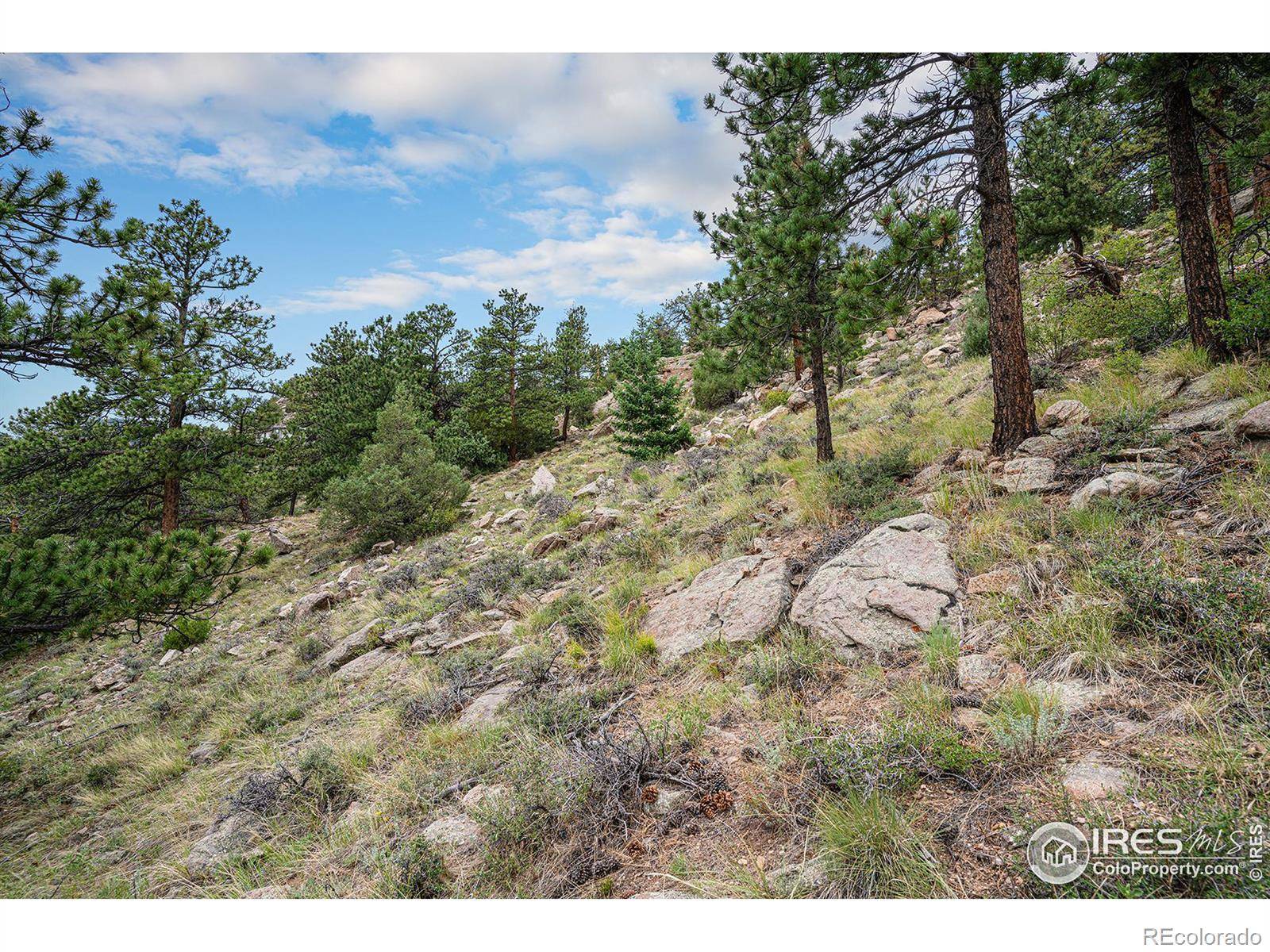 Estes Park, CO 80517,0 Prospect Mountain DR