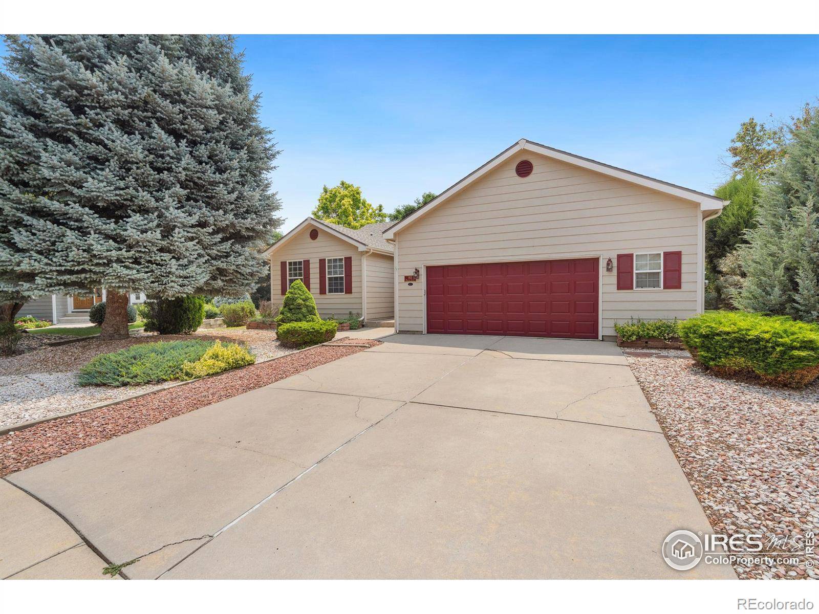 Fort Collins, CO 80525,813 Rumford CT