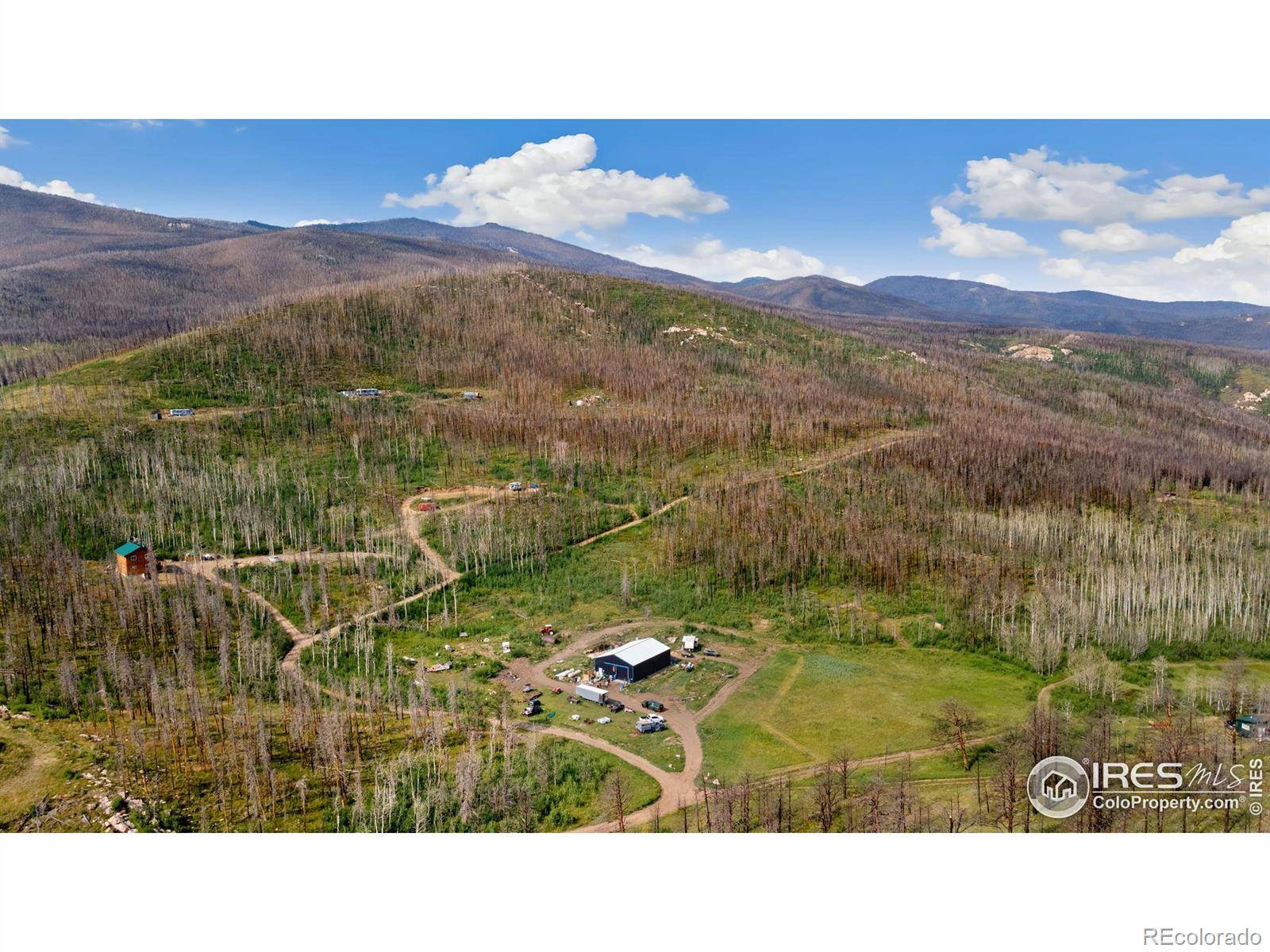 Bellvue, CO 80512,1081 Deer Horn TRL