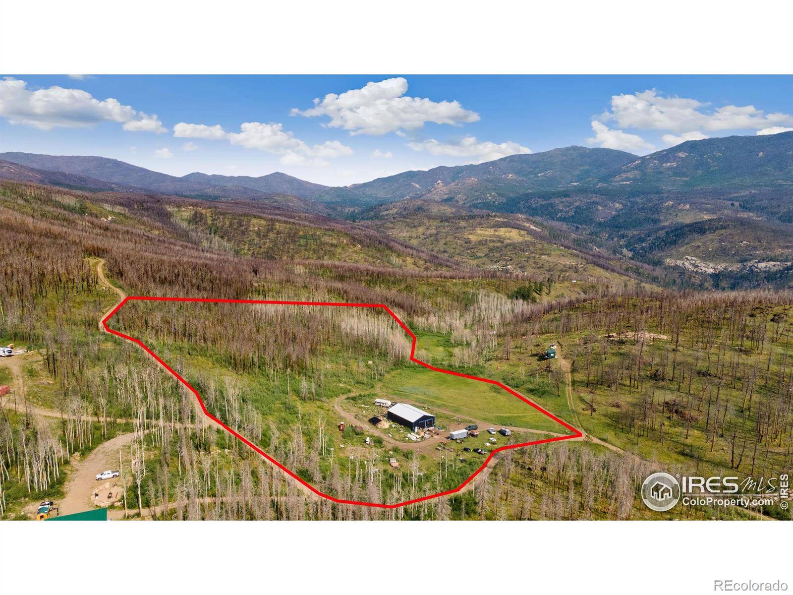 Bellvue, CO 80512,1081 Deer Horn TRL