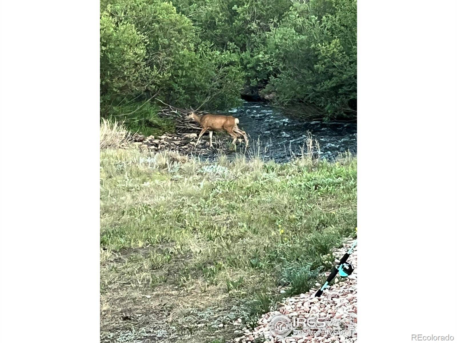 Red Feather Lakes, CO 80545,7176 Ottawa WAY