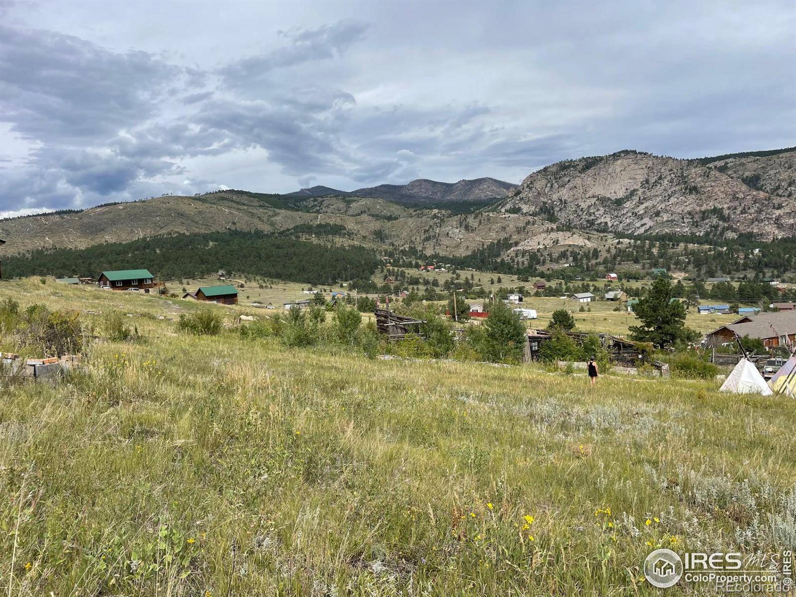 Drake, CO 80515,1843 Palisade Mountain DR