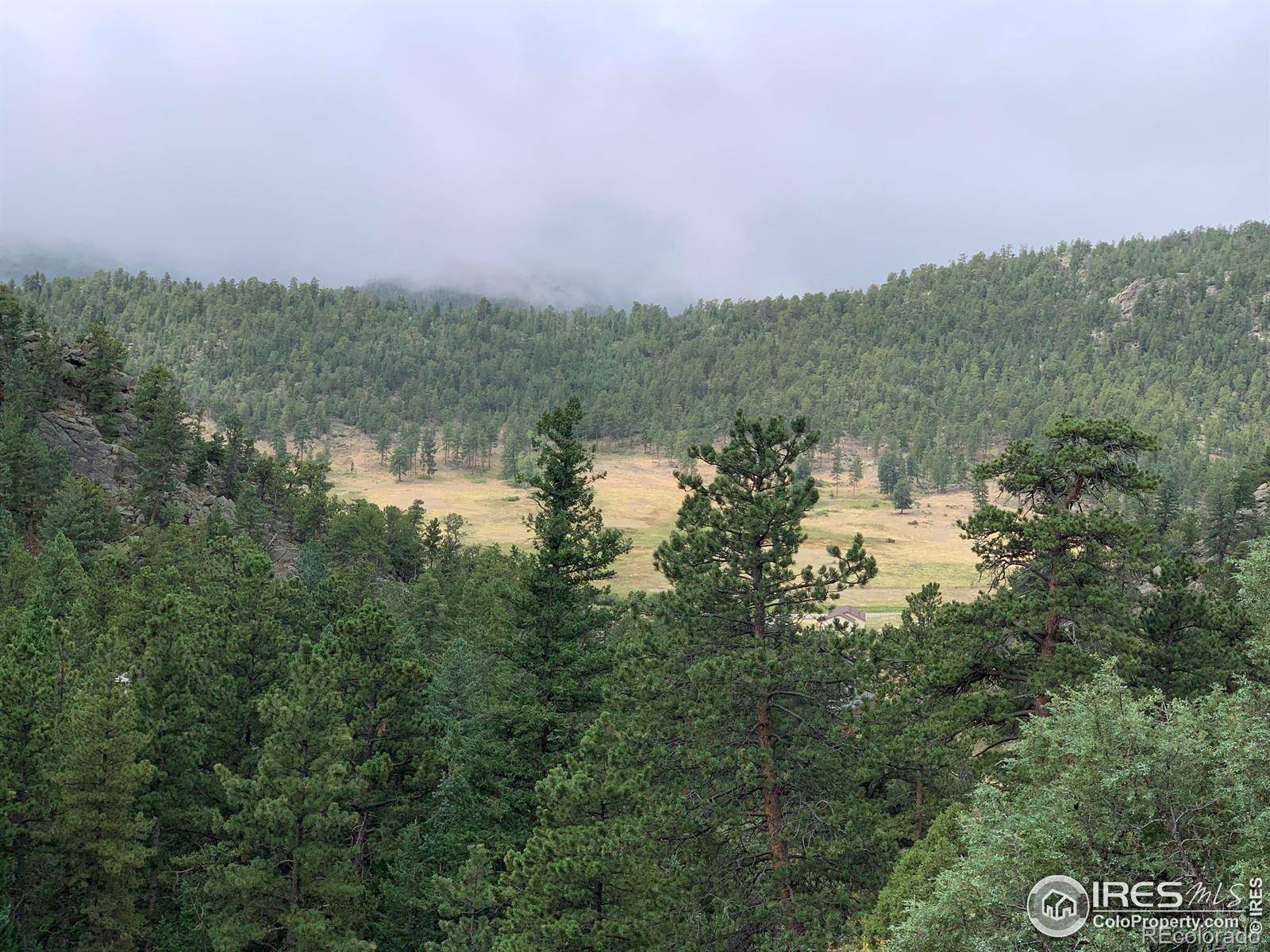 Estes Park, CO 80517,875 Pine Tree DR