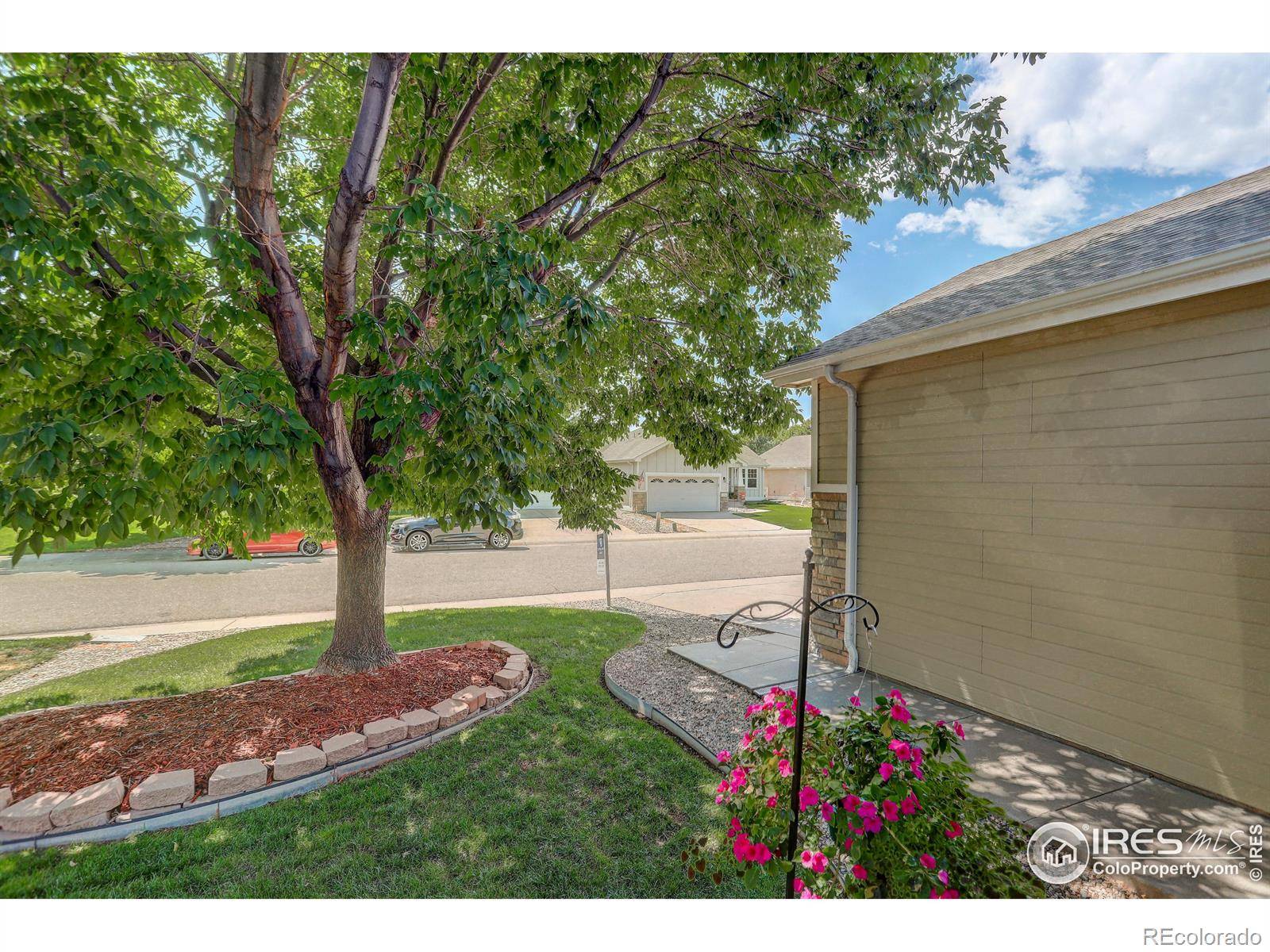 Loveland, CO 80537,1351 6th ST