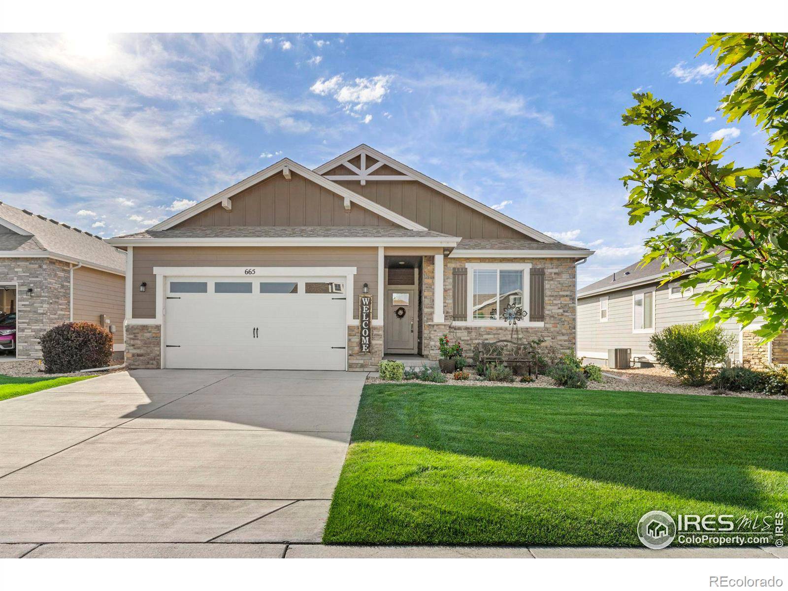 Greeley, CO 80634,665 White Tail AVE