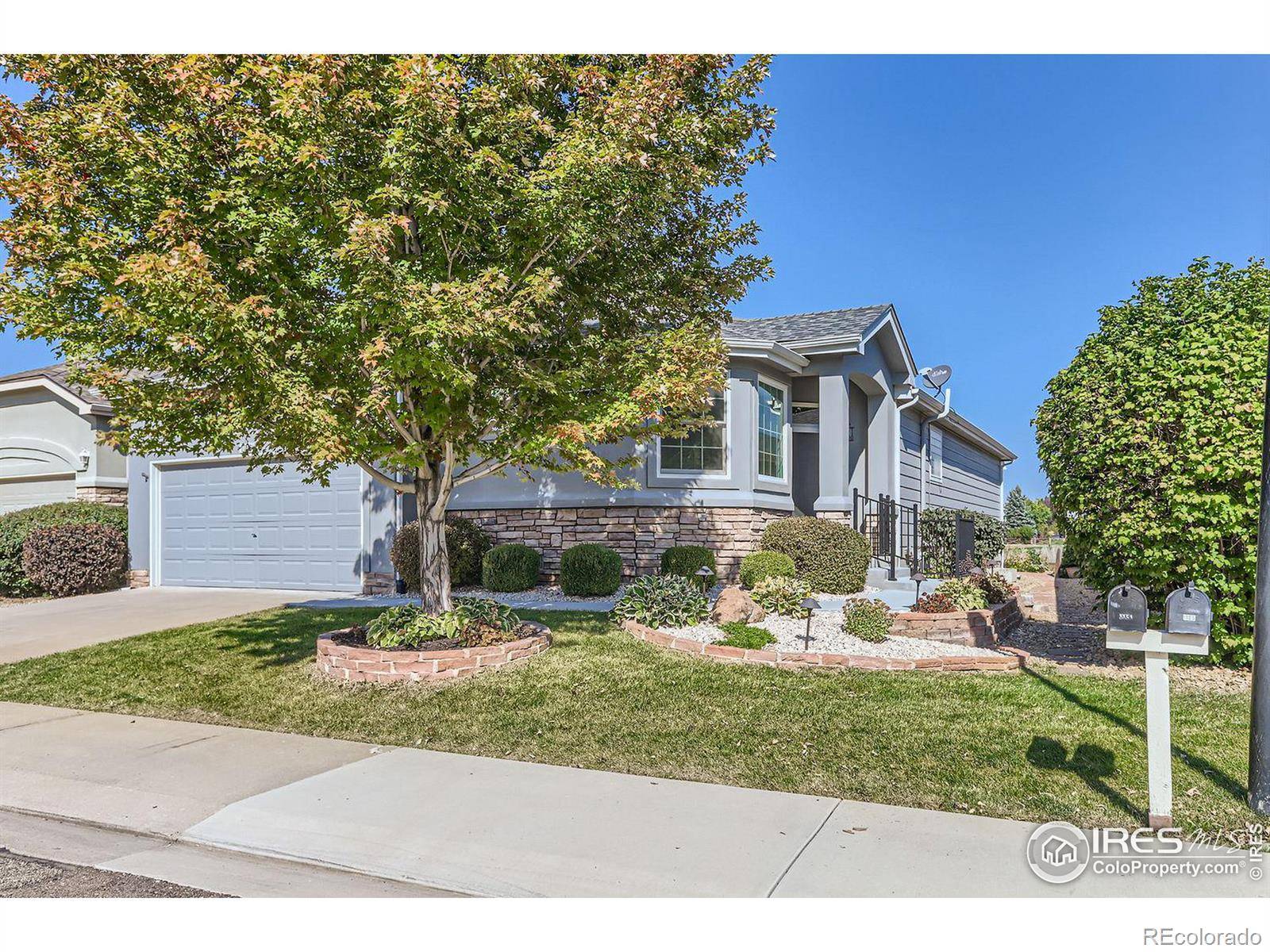 Longmont, CO 80504,1101 Signature CIR