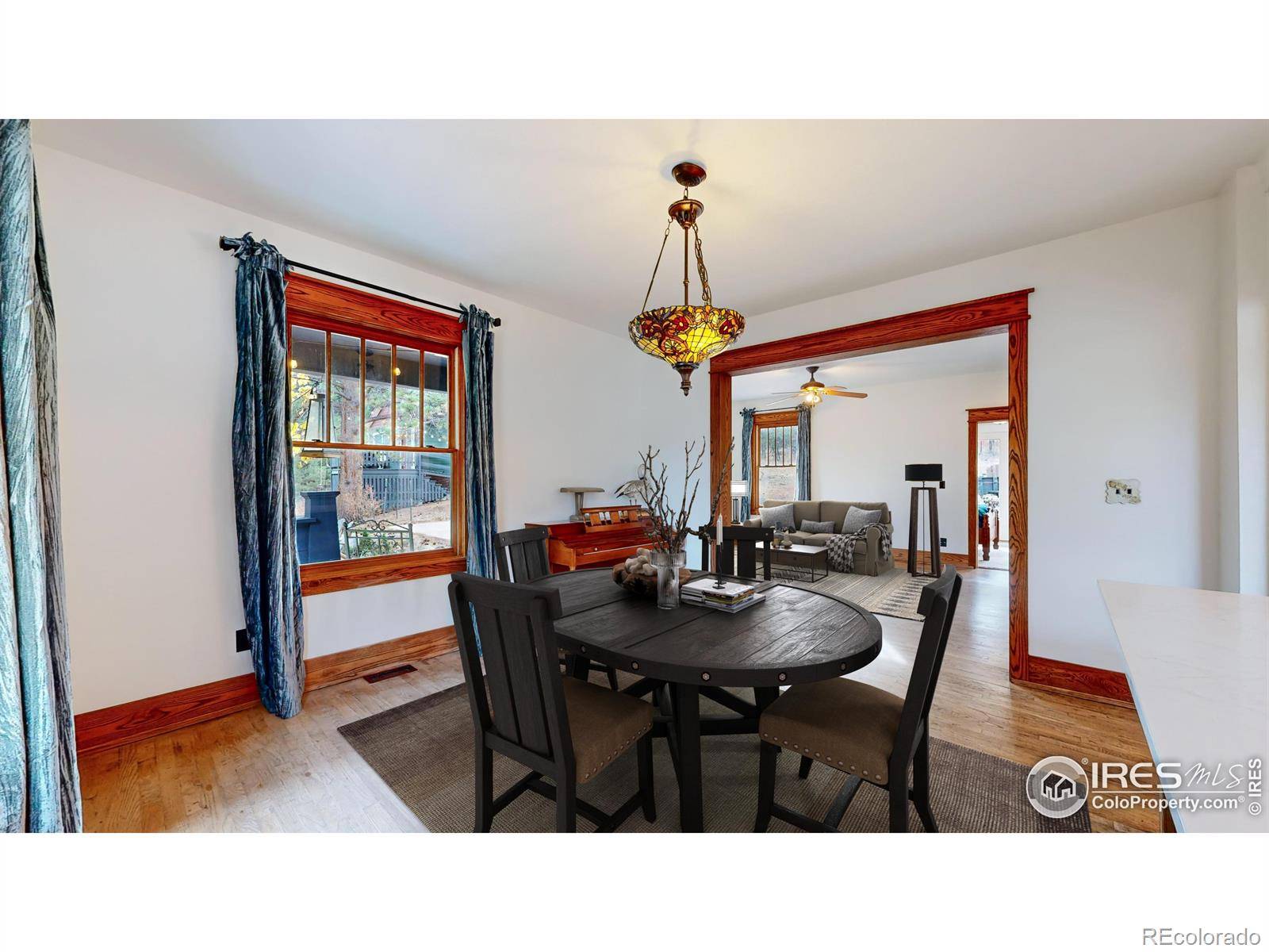 Estes Park, CO 80517,541 Chapin LN