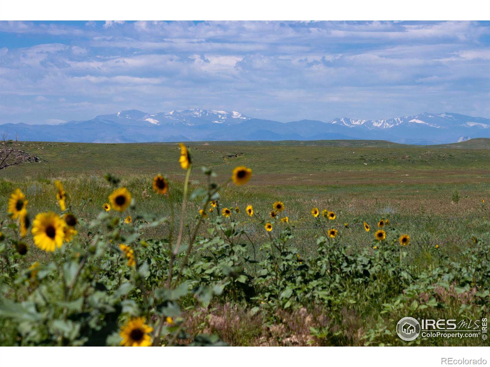 Carr, CO 80612,4 TBD County Road 21