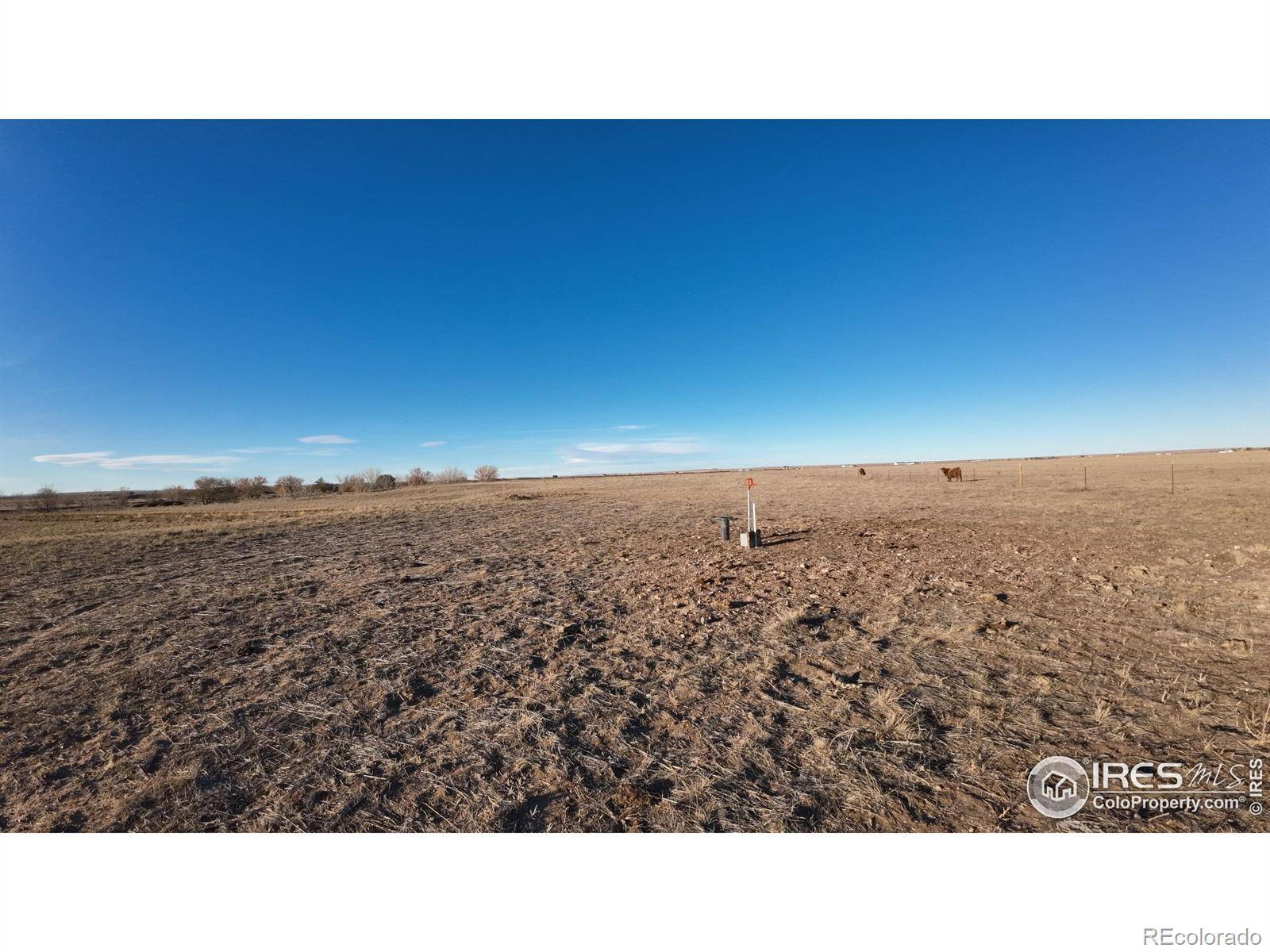 Nunn, CO 80648,0 (Lot #18) CR 100