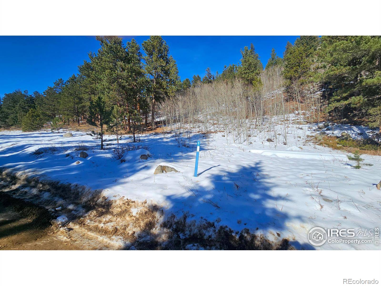 Nederland, CO 80466,0 Cold Springs DR