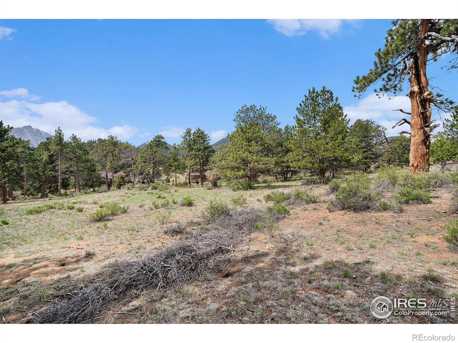 Estes Park, CO 80517,407 Pawnee DR