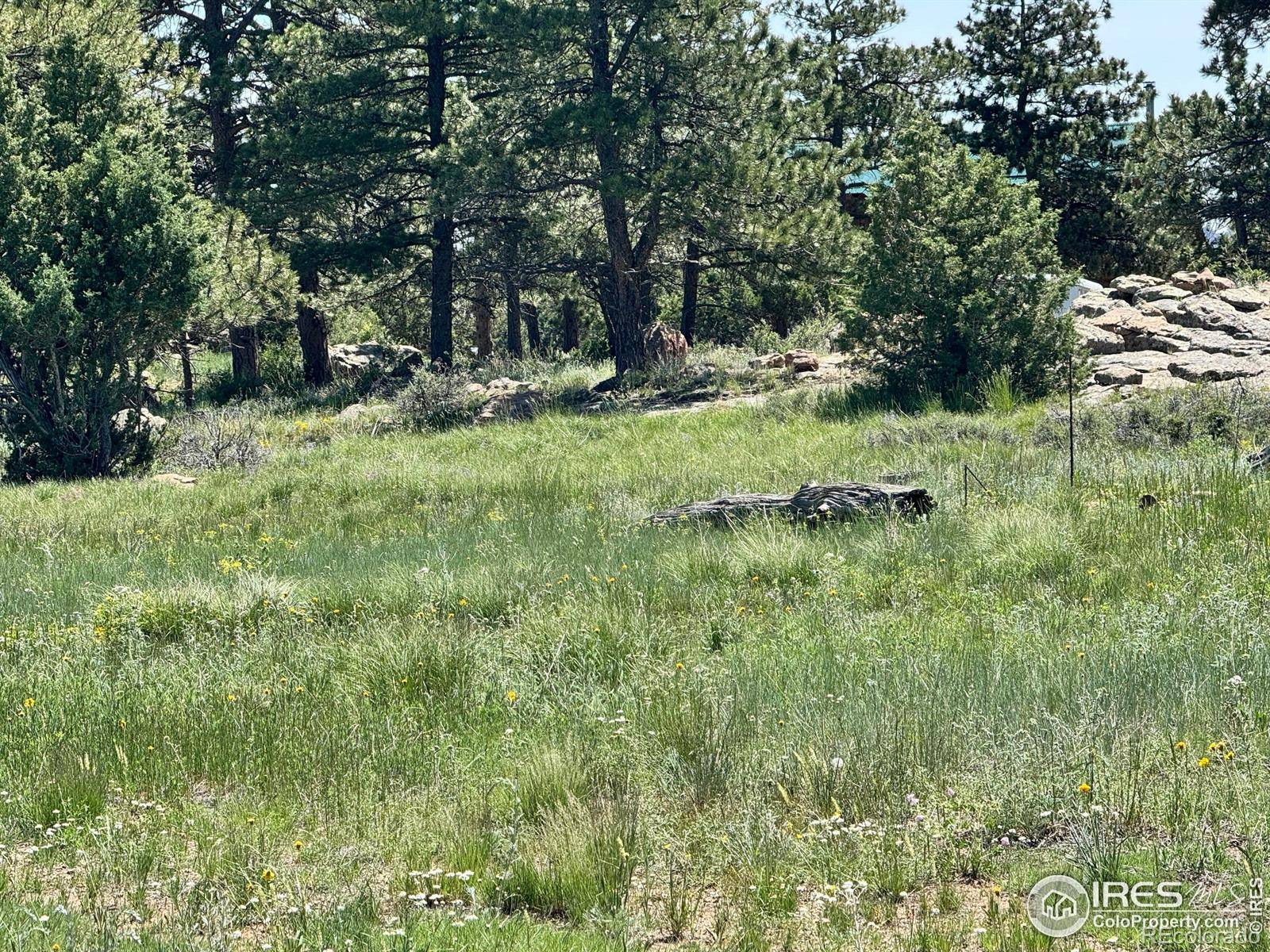 Livermore, CO 80536,62 White Slide Mountain CT