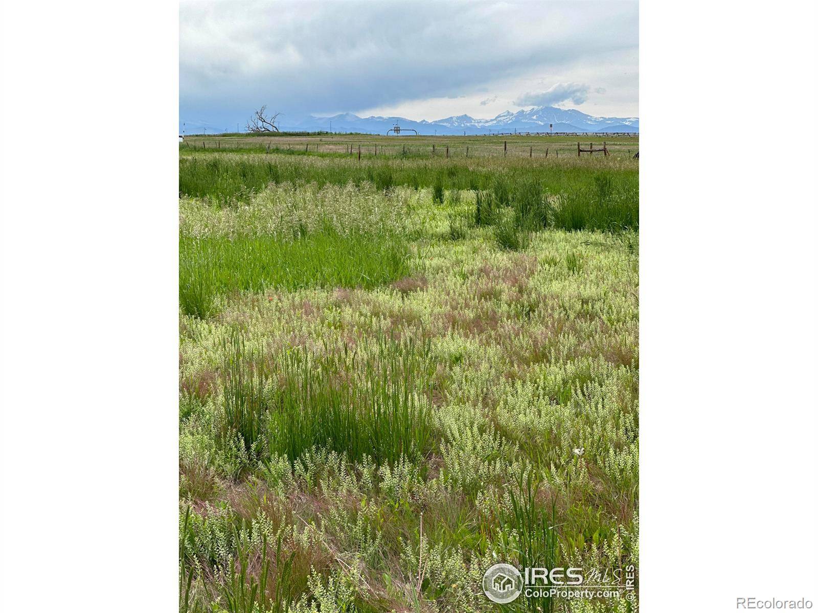 Broomfield, CO 80023,1777 W 156th AVE