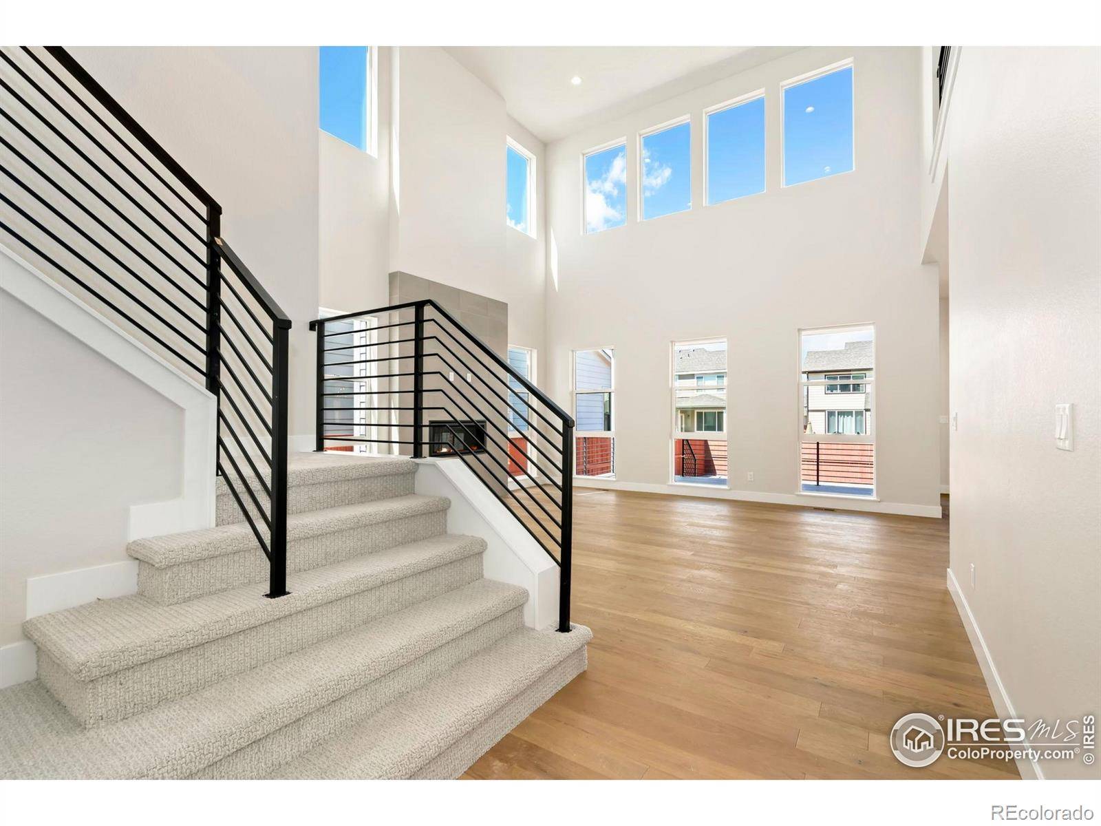 Windsor, CO 80550,1714 Branching Canopy DR