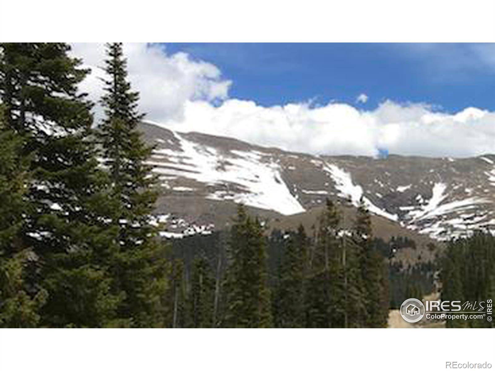 Breckenridge, CO 80424,585 County Road 805