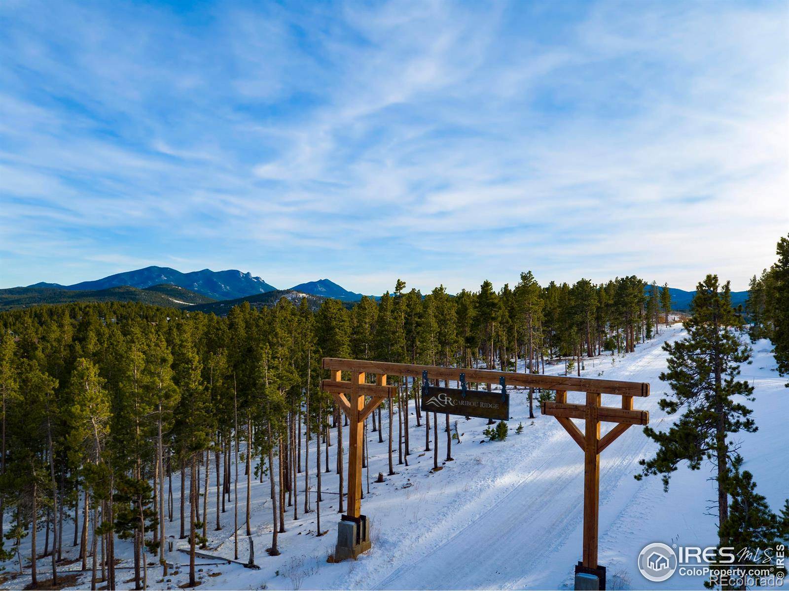 Nederland, CO 80466,12 Caribou Ridge DR