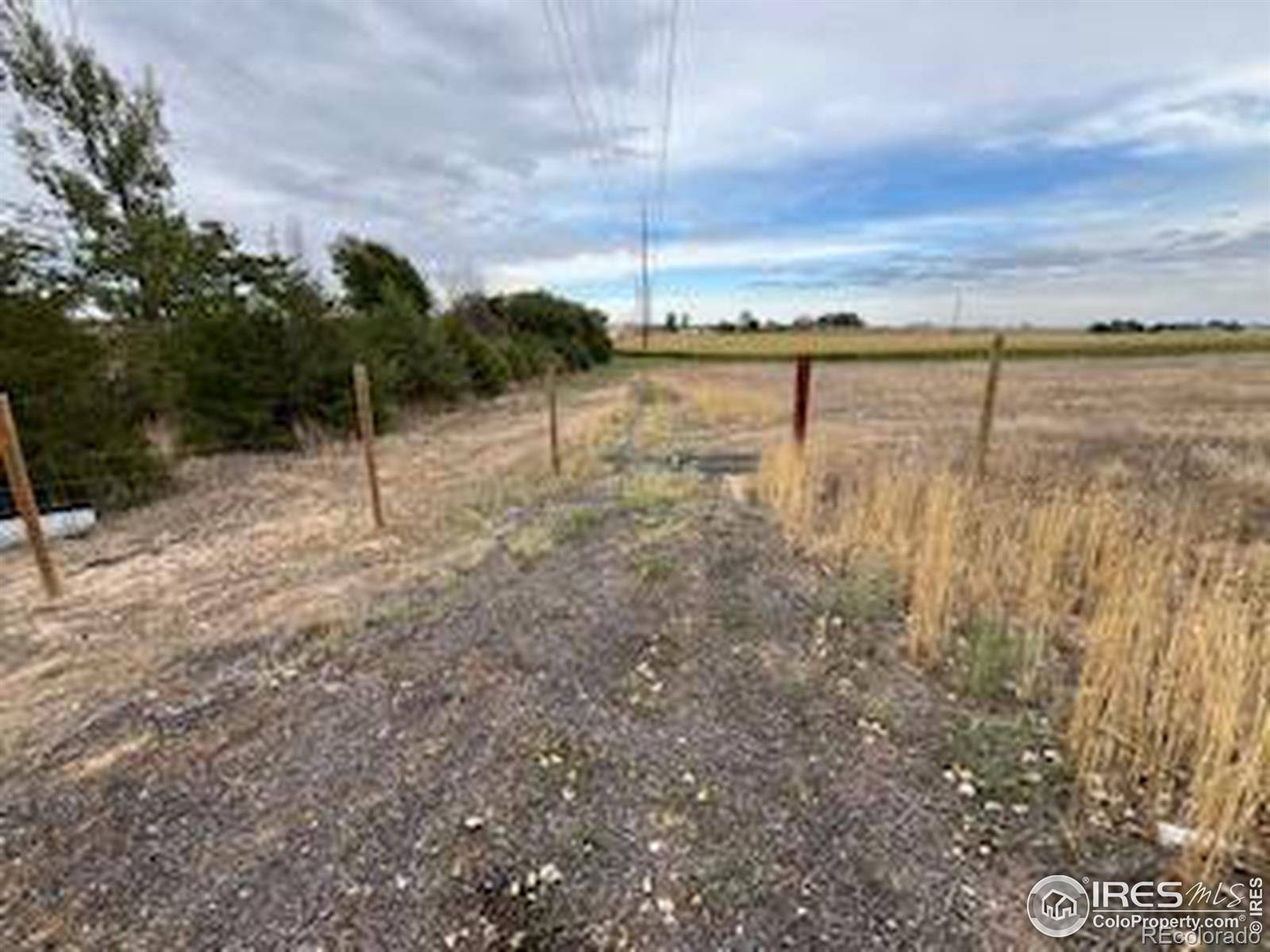 Ault, CO 80610,W 84