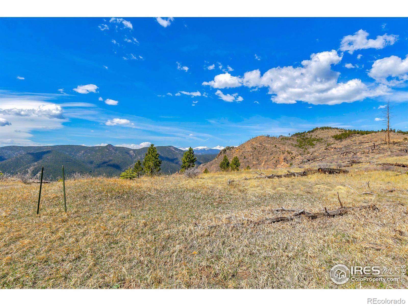 Jamestown, CO 80455,1012 County Road 87j