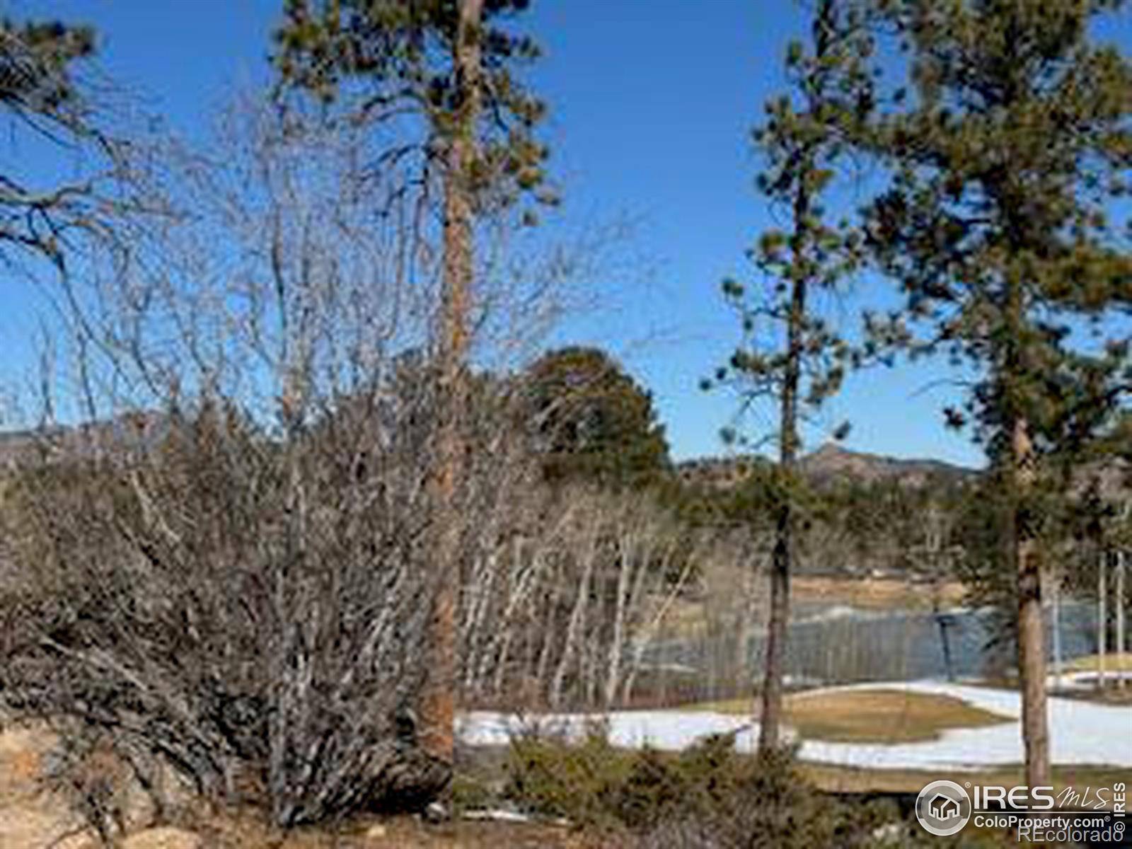 Red Feather Lakes, CO 80545,1532 Fox Acres DR
