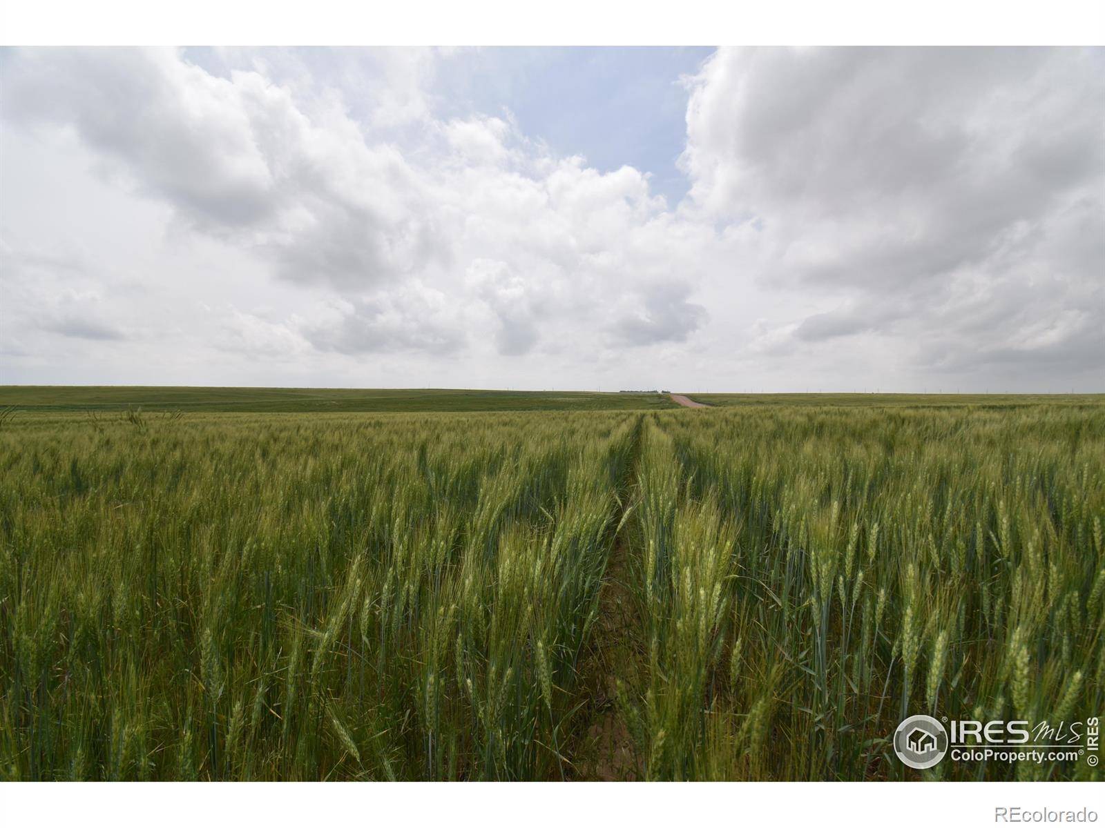 Yuma, CO 80759,County Road 57
