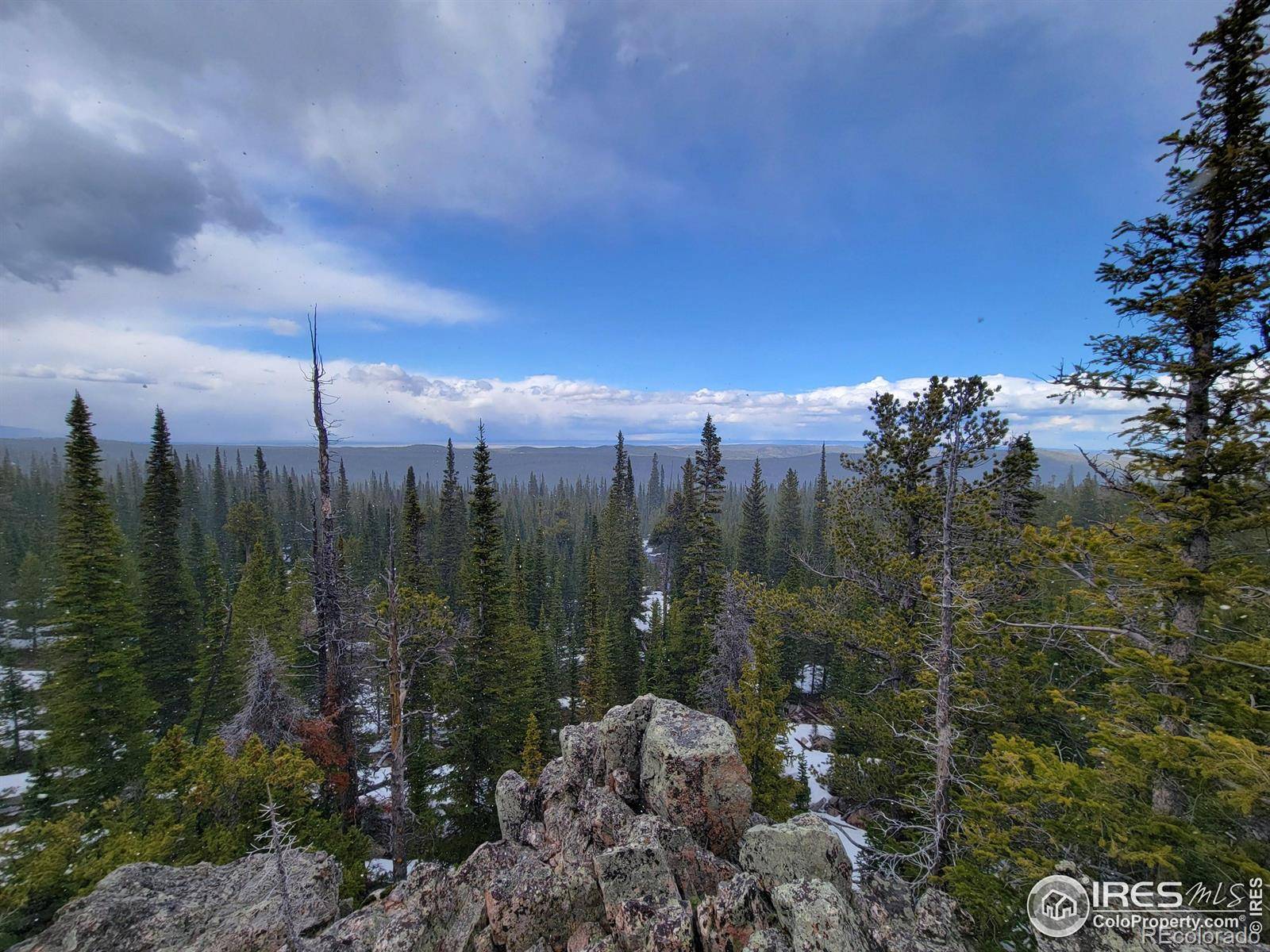 Red Feather Lakes, CO 80545,3765 Forest Road 195