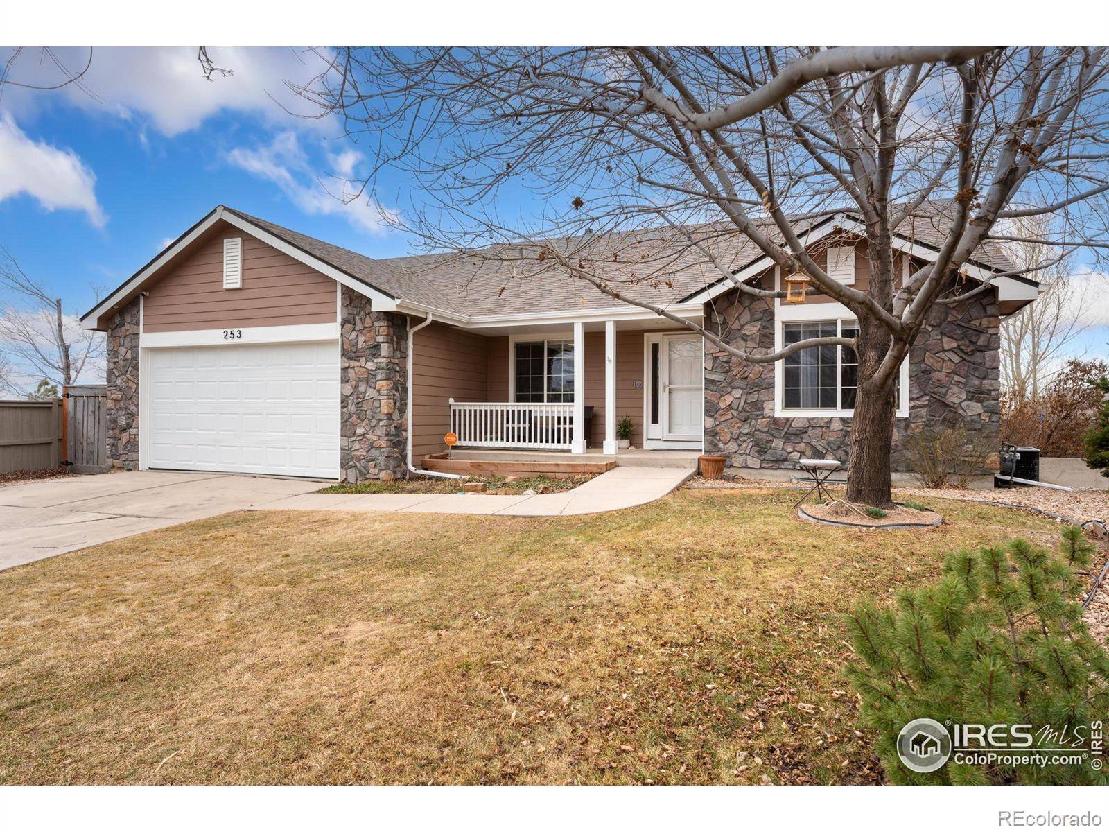 Severance, CO 80550,253 Timber Ridge CT